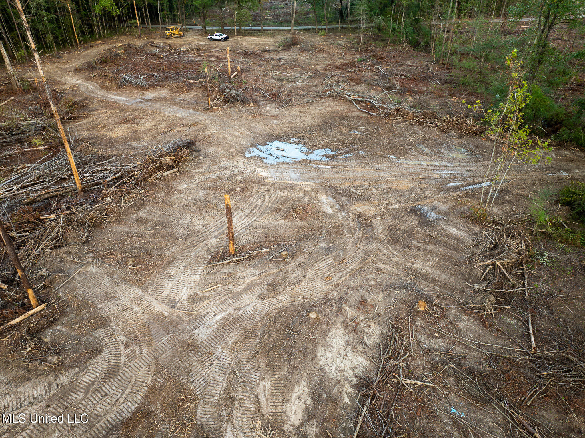 Ashley Road Property Photo 4