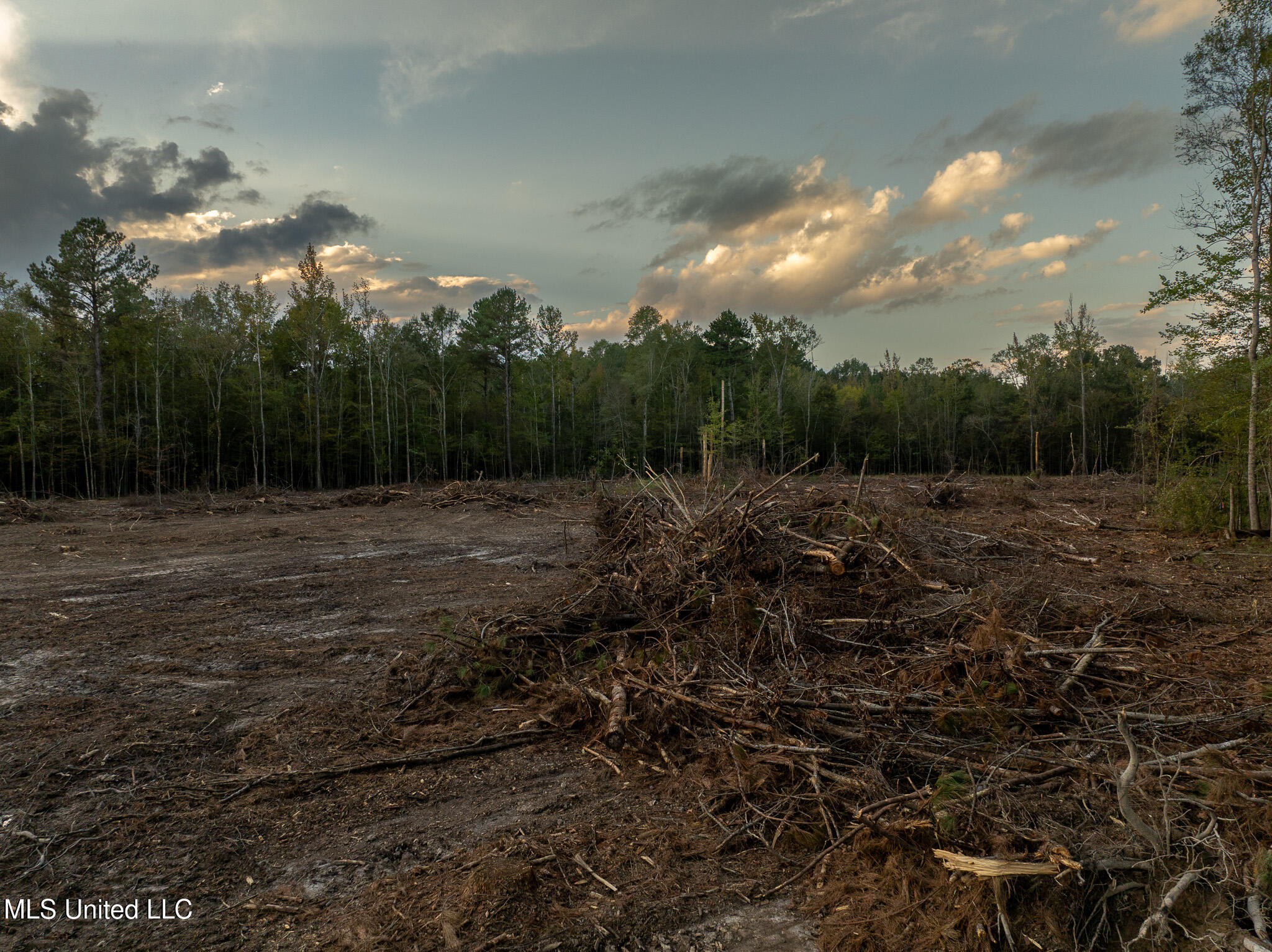 Ashley Road Property Photo 5