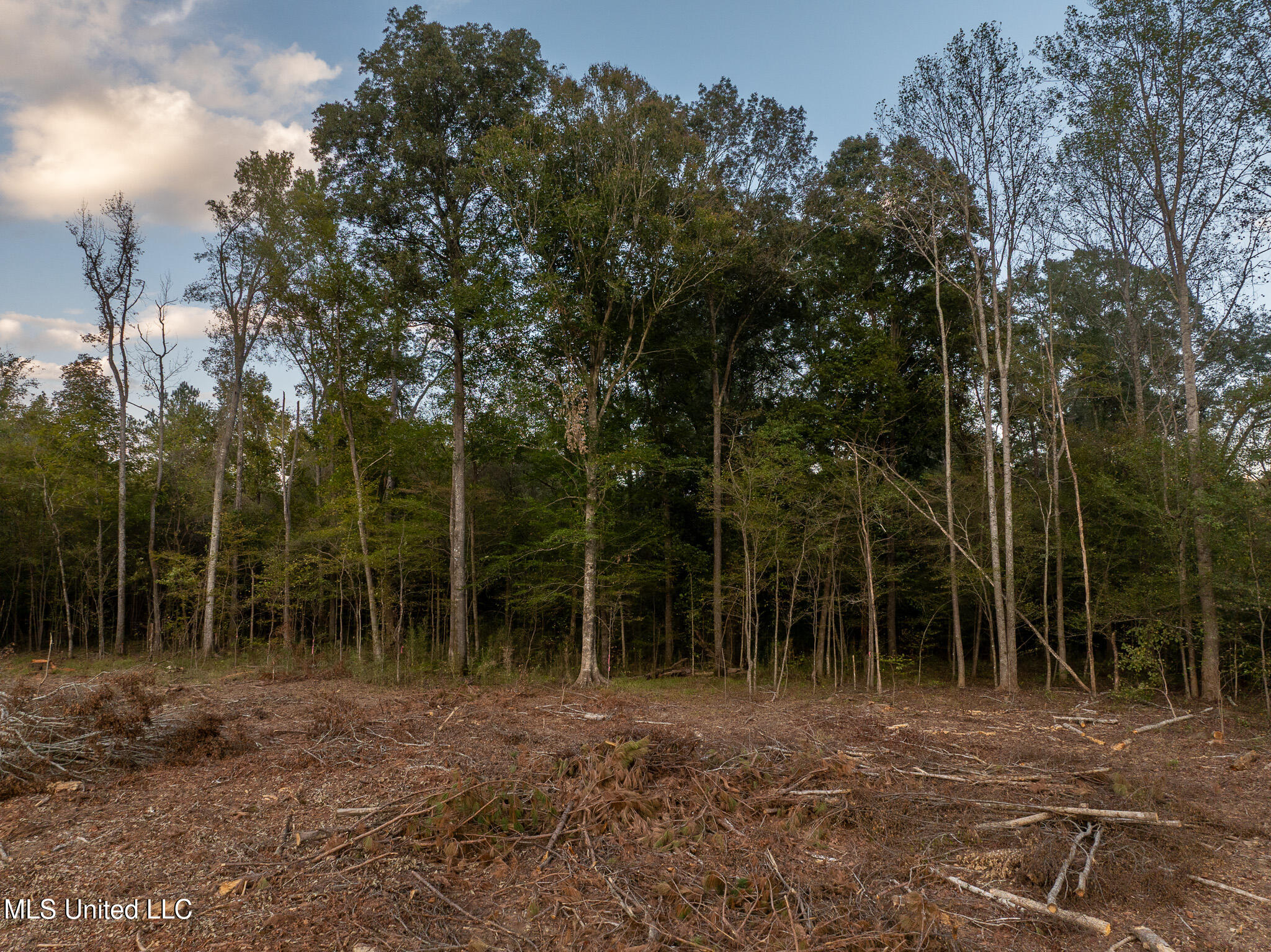 Ashley Road Property Photo 6