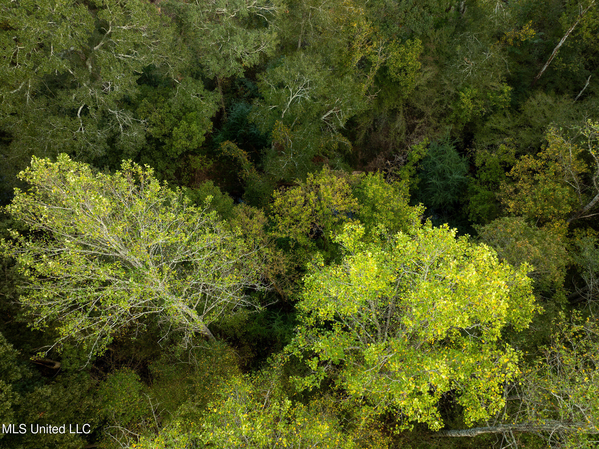 Ashley Road Property Photo 8