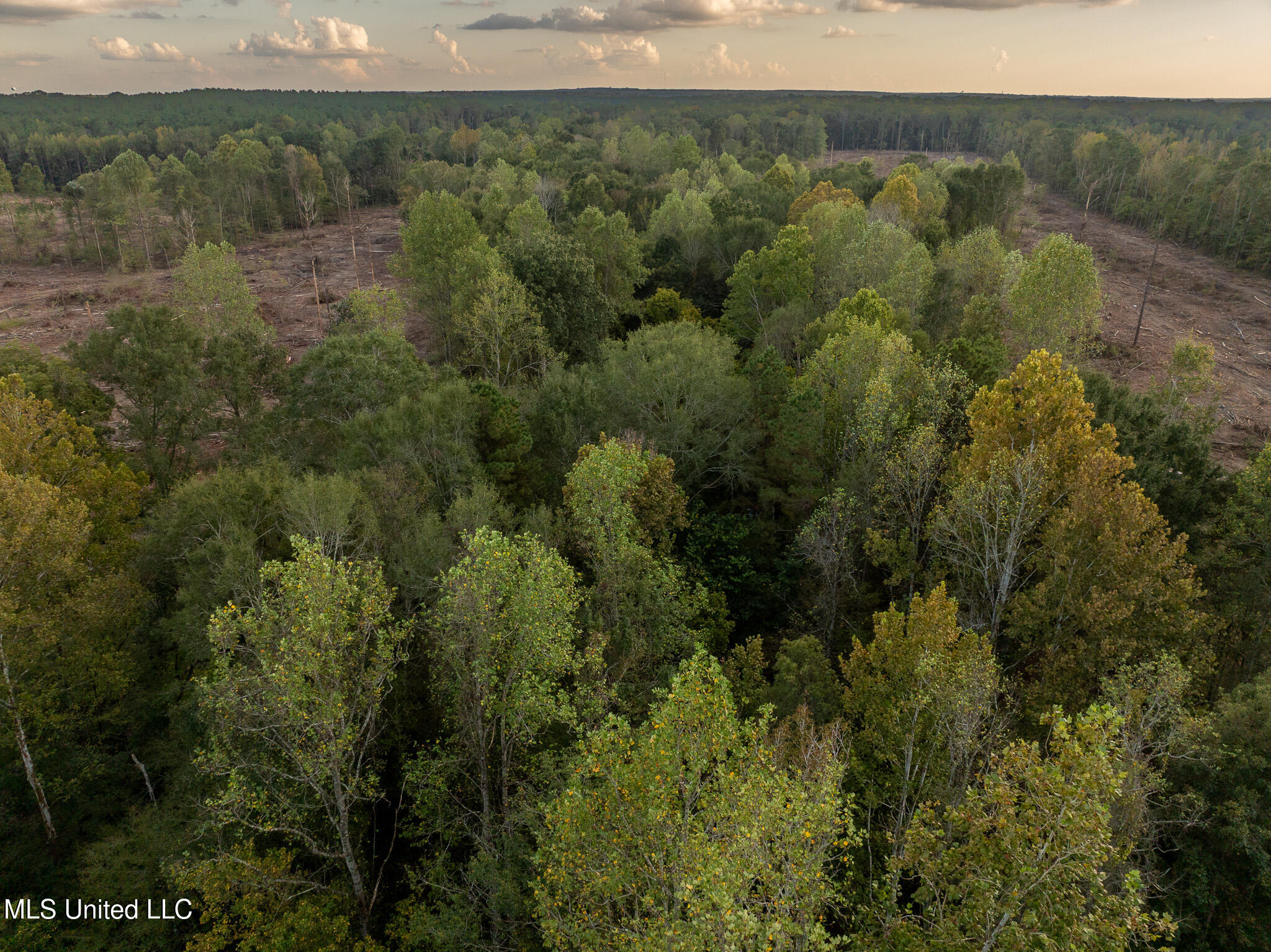 Ashley Road Property Photo 9