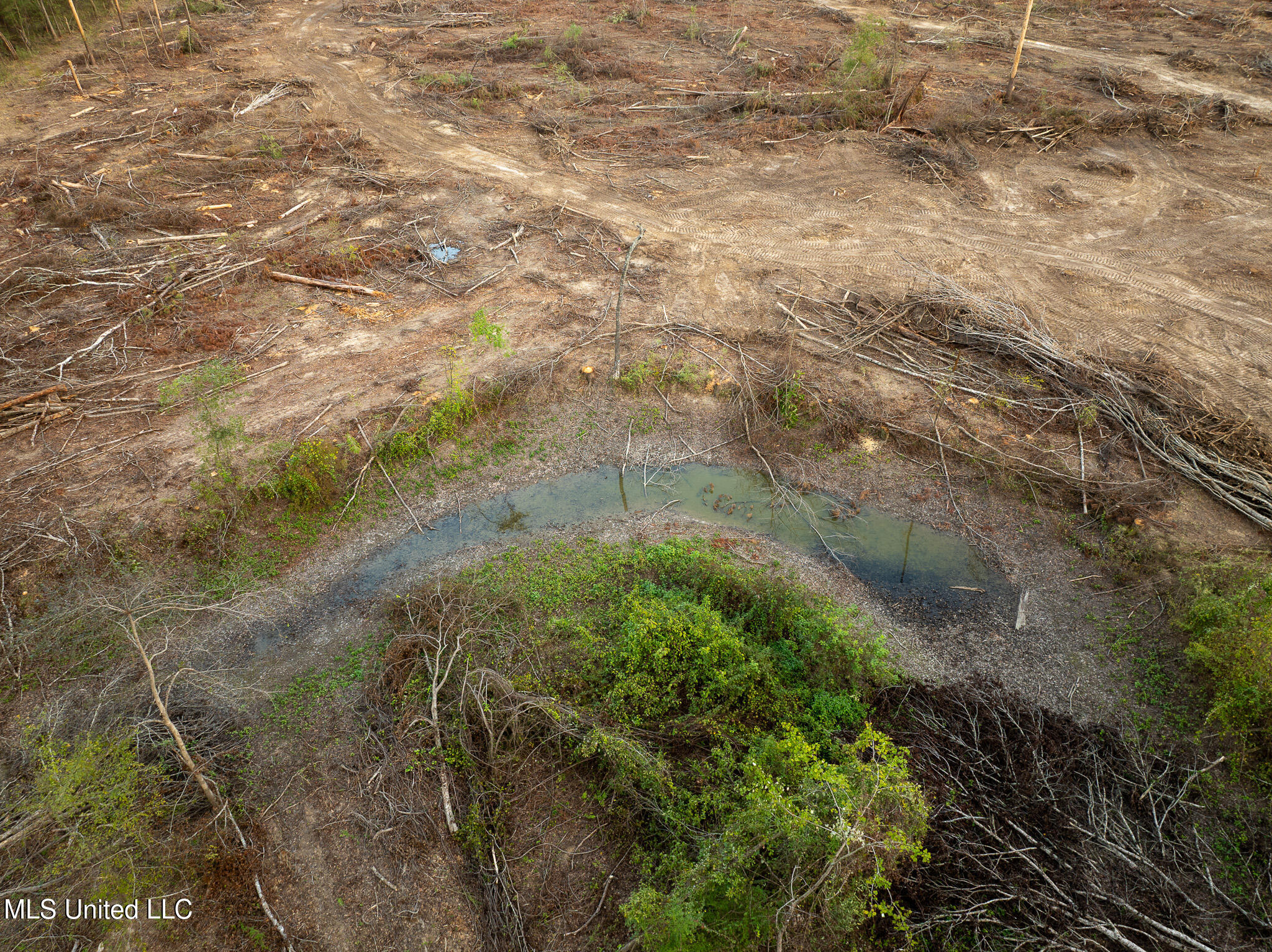 Ashley Road Property Photo 10