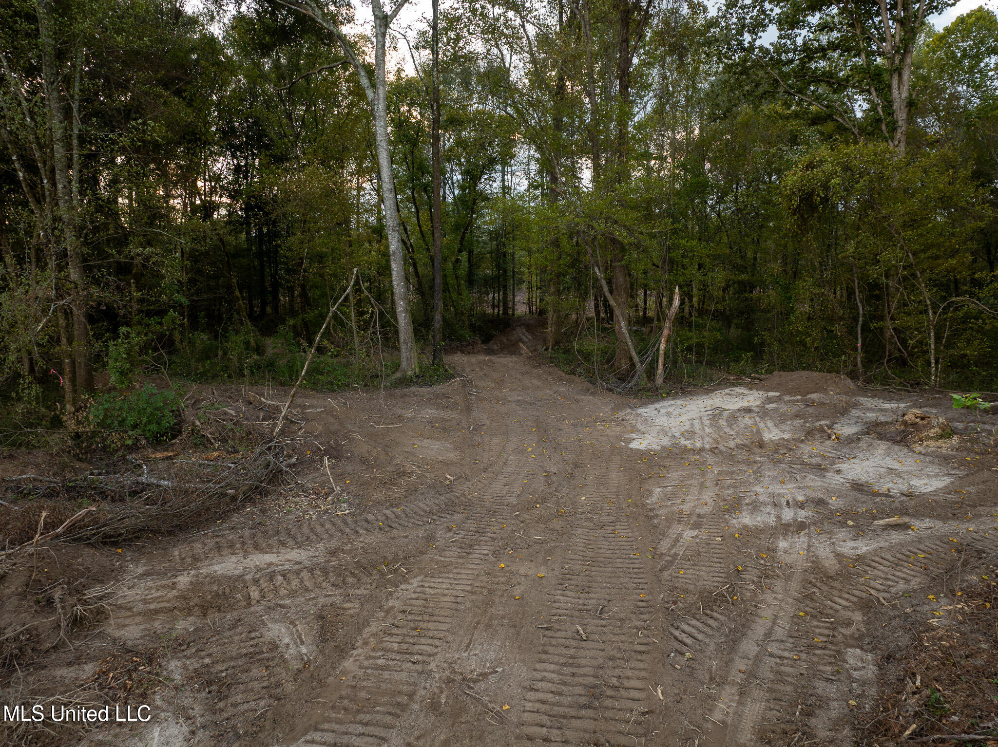 Ashley Road Property Photo 11