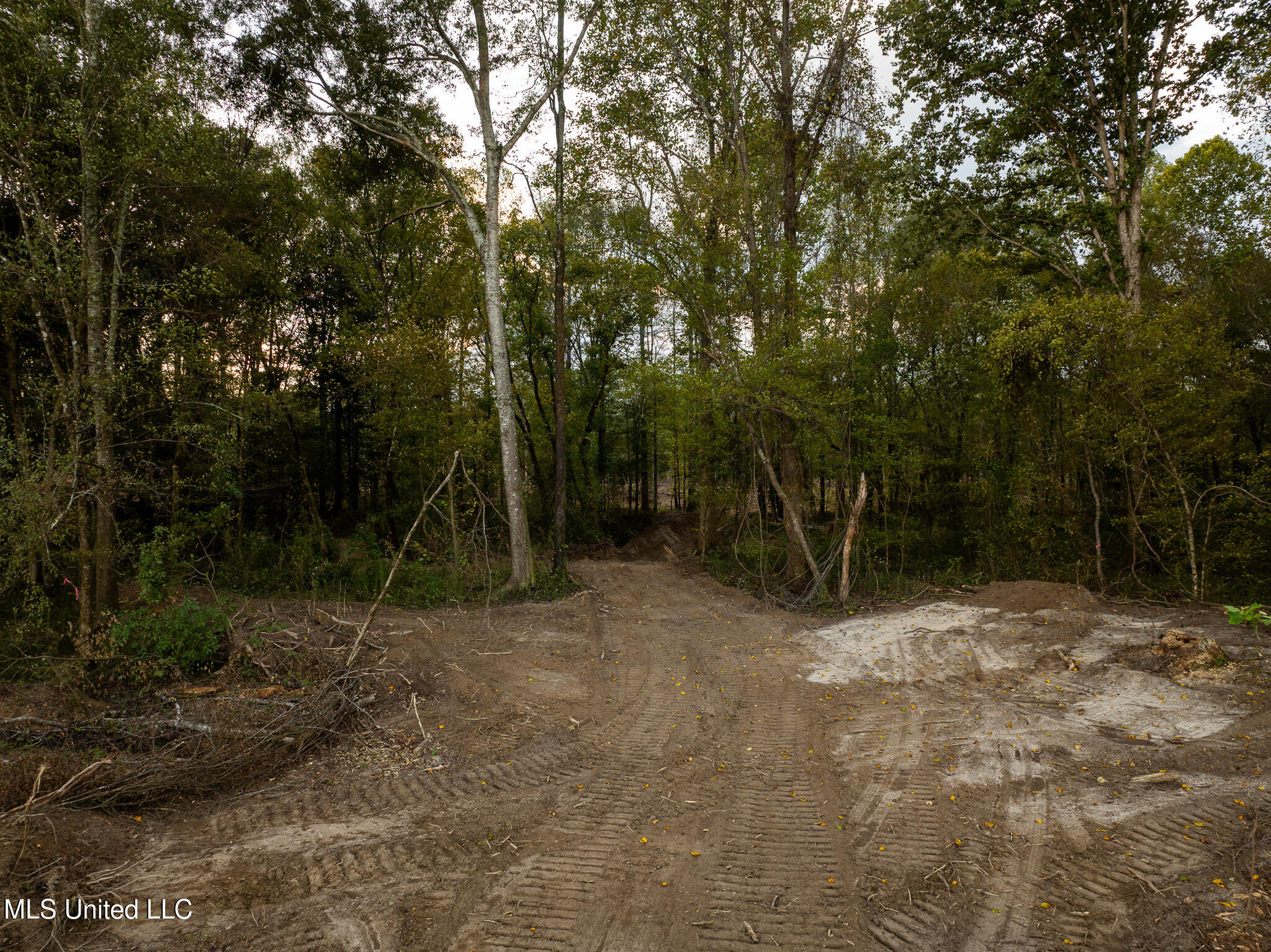 Ashley Road Property Photo 12