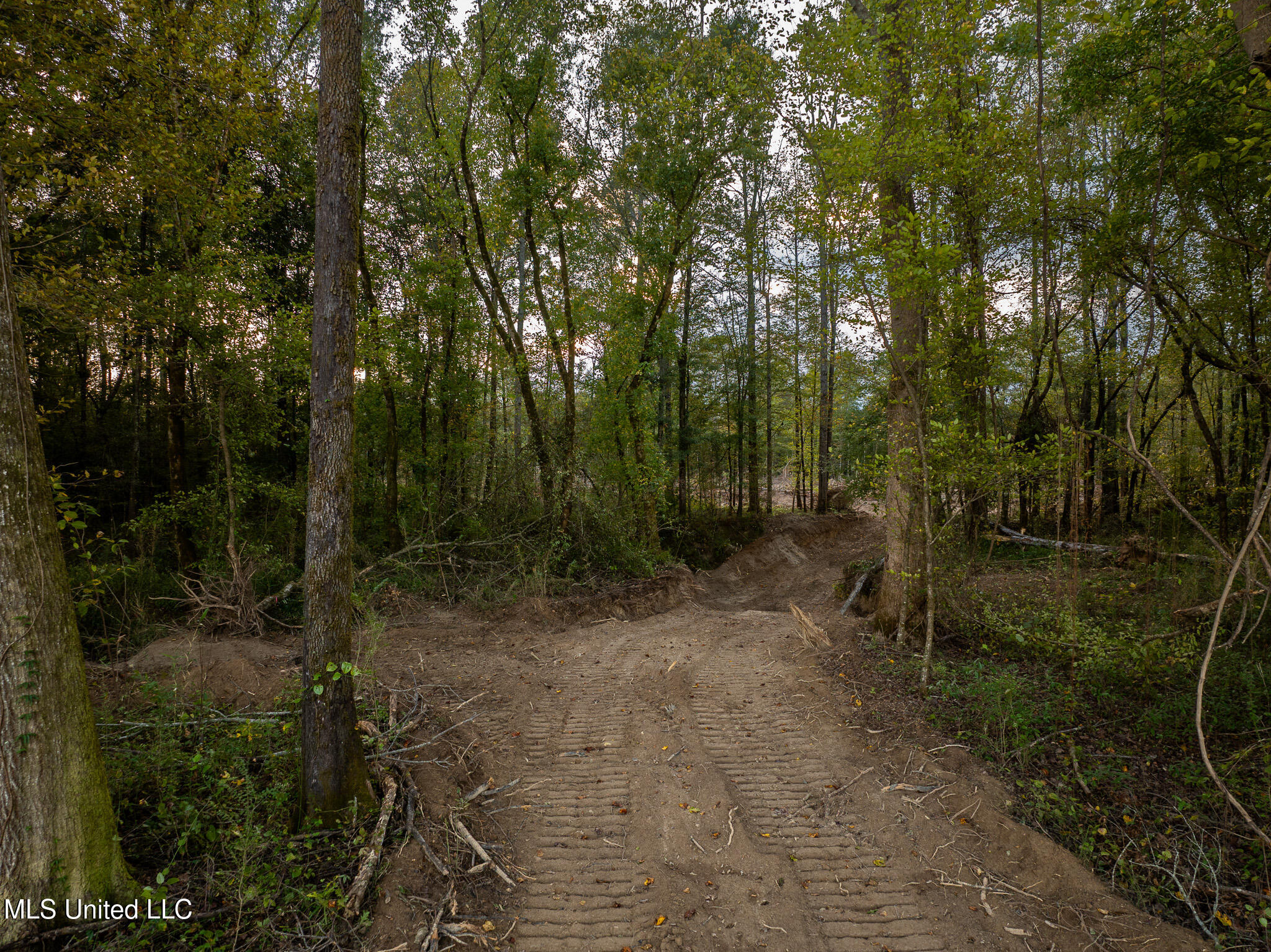 Ashley Road Property Photo 13