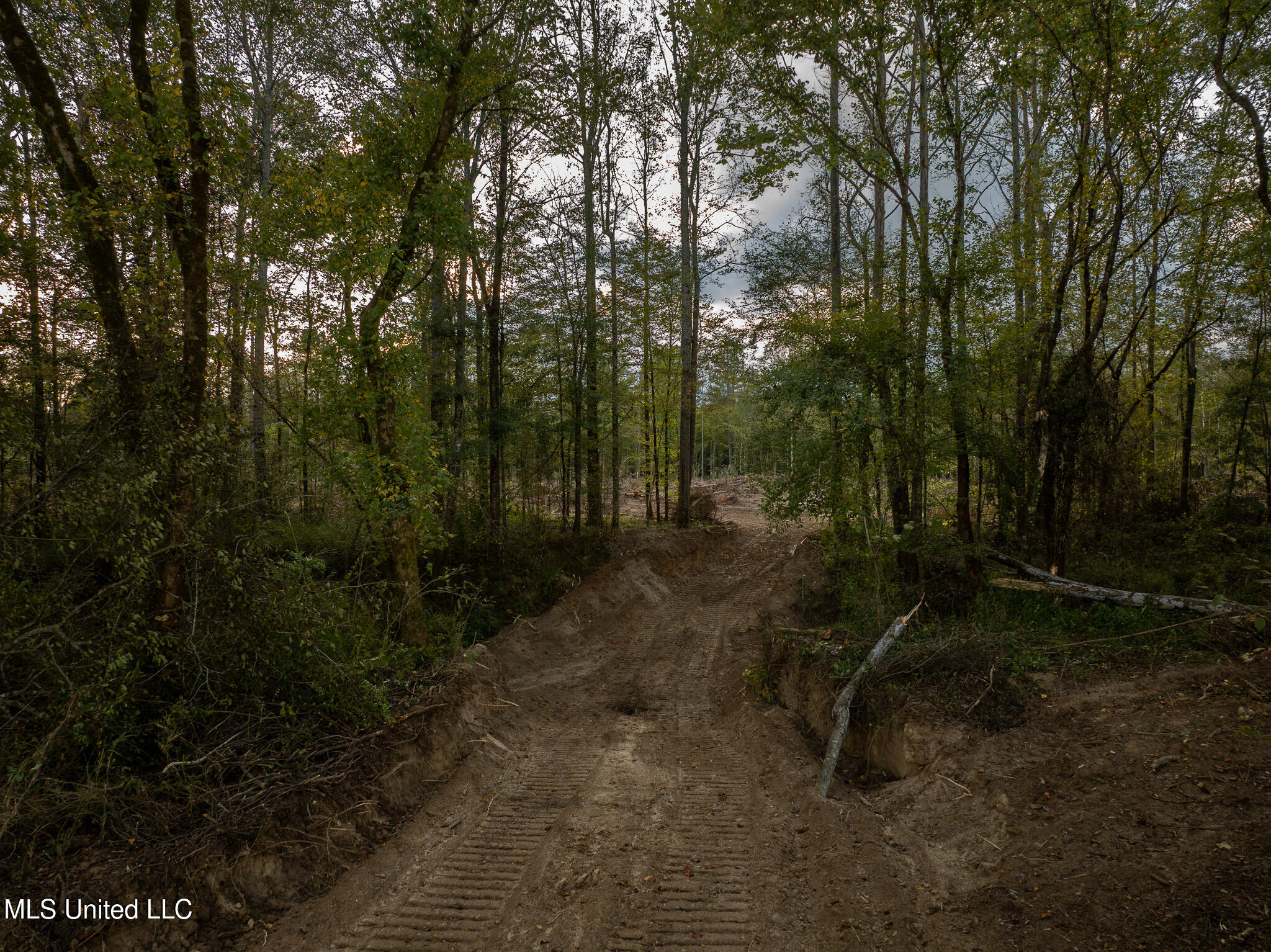 Ashley Road Property Photo 14