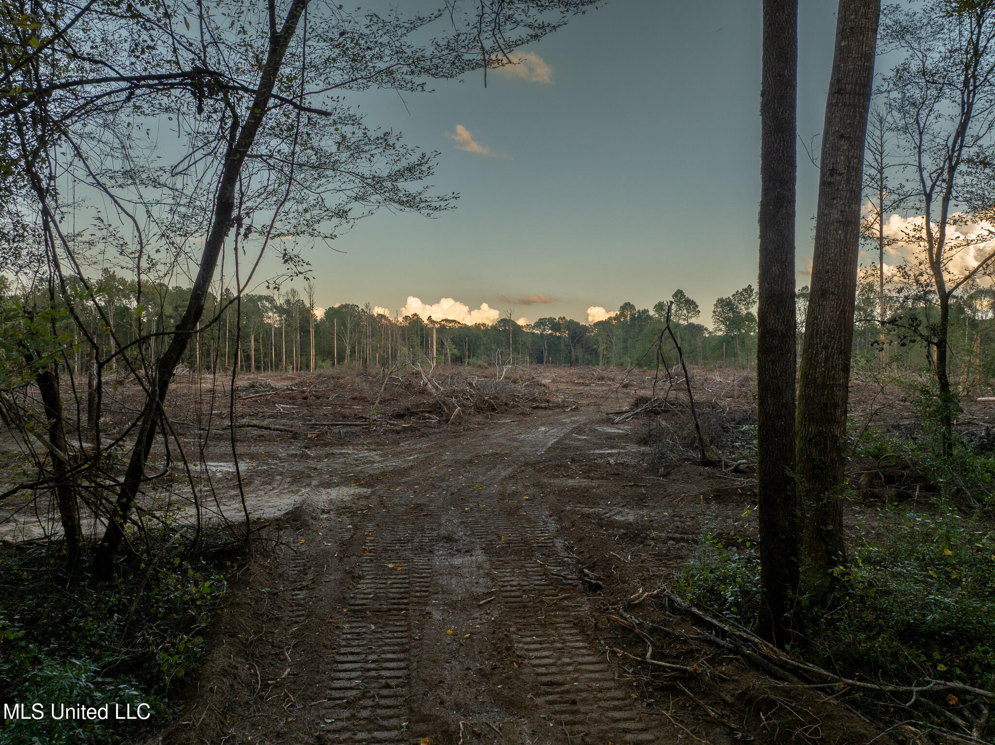 Ashley Road Property Photo 15