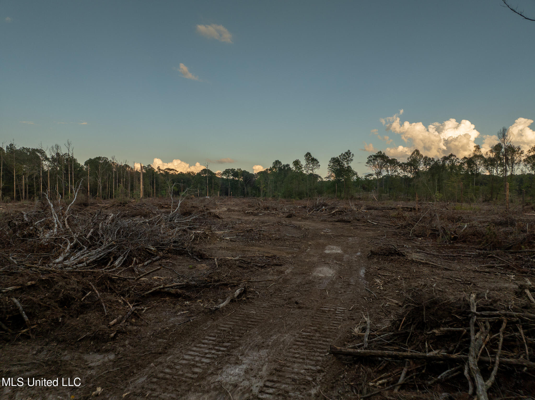 Ashley Road Property Photo 16