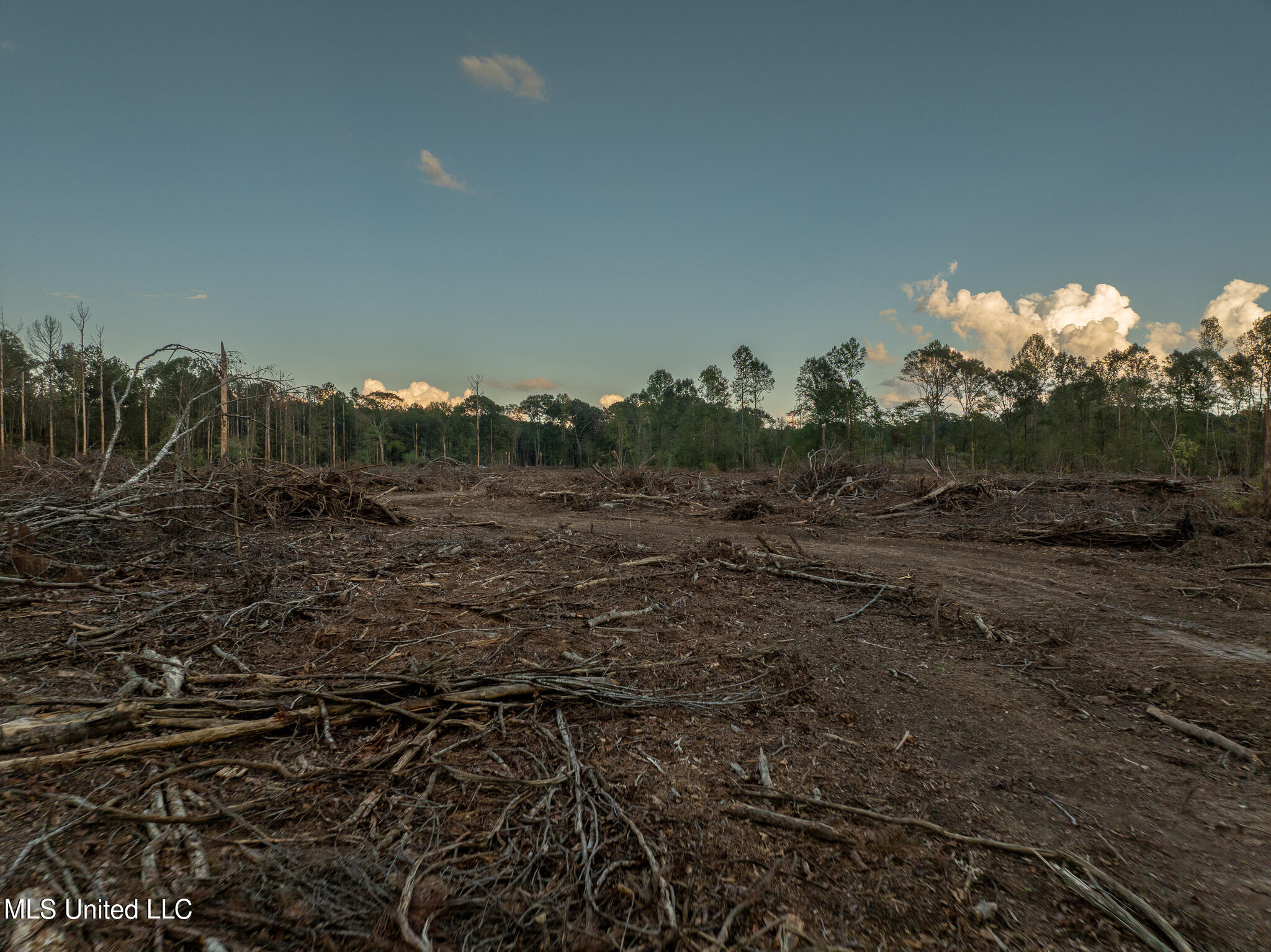 Ashley Road Property Photo 17