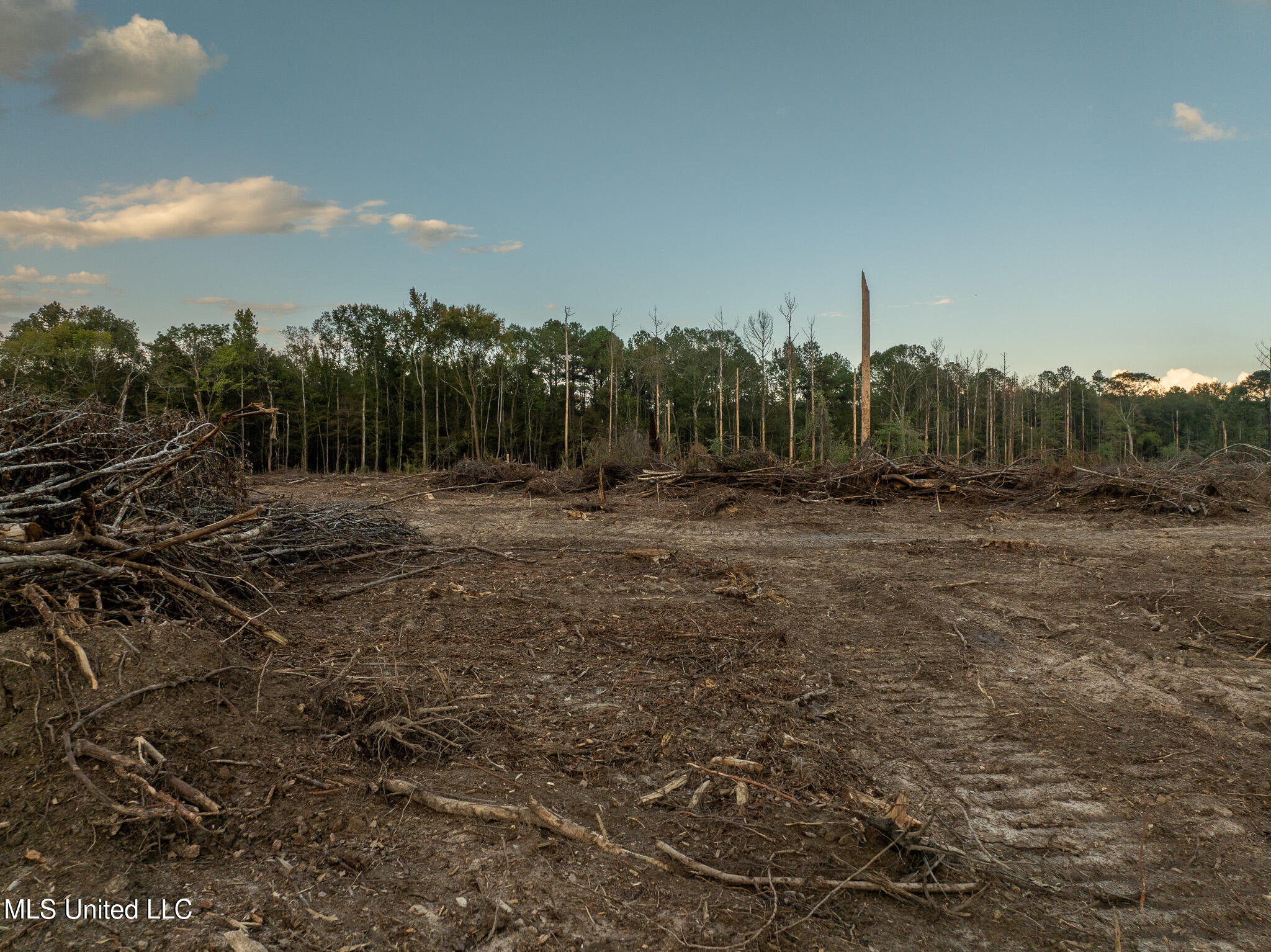 Ashley Road Property Photo 18