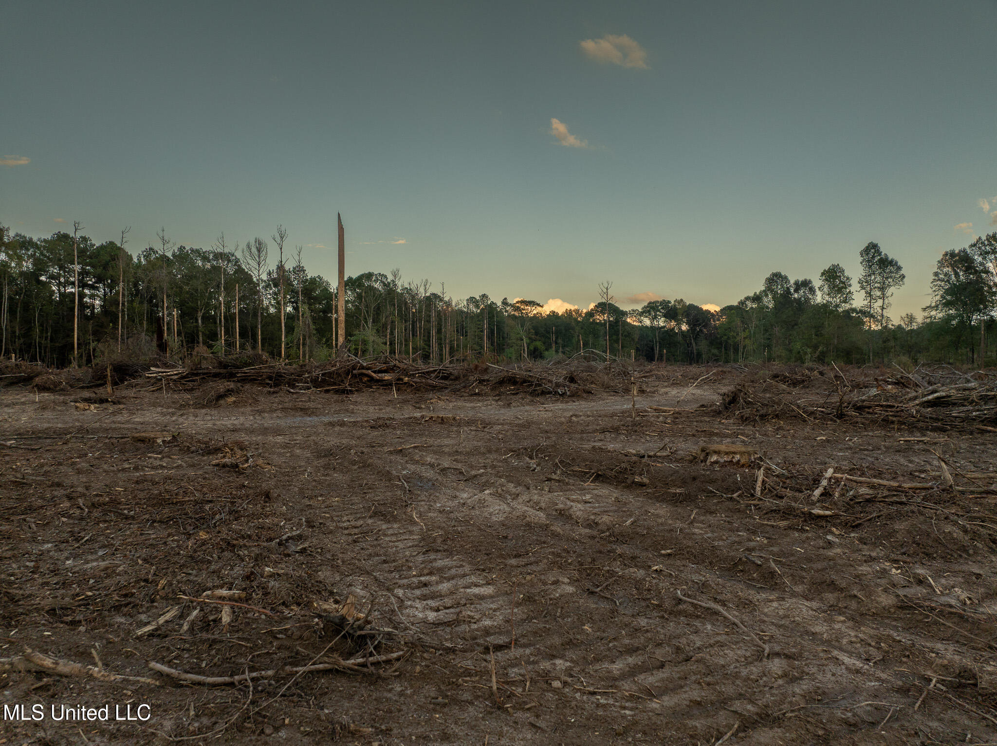 Ashley Road Property Photo 19