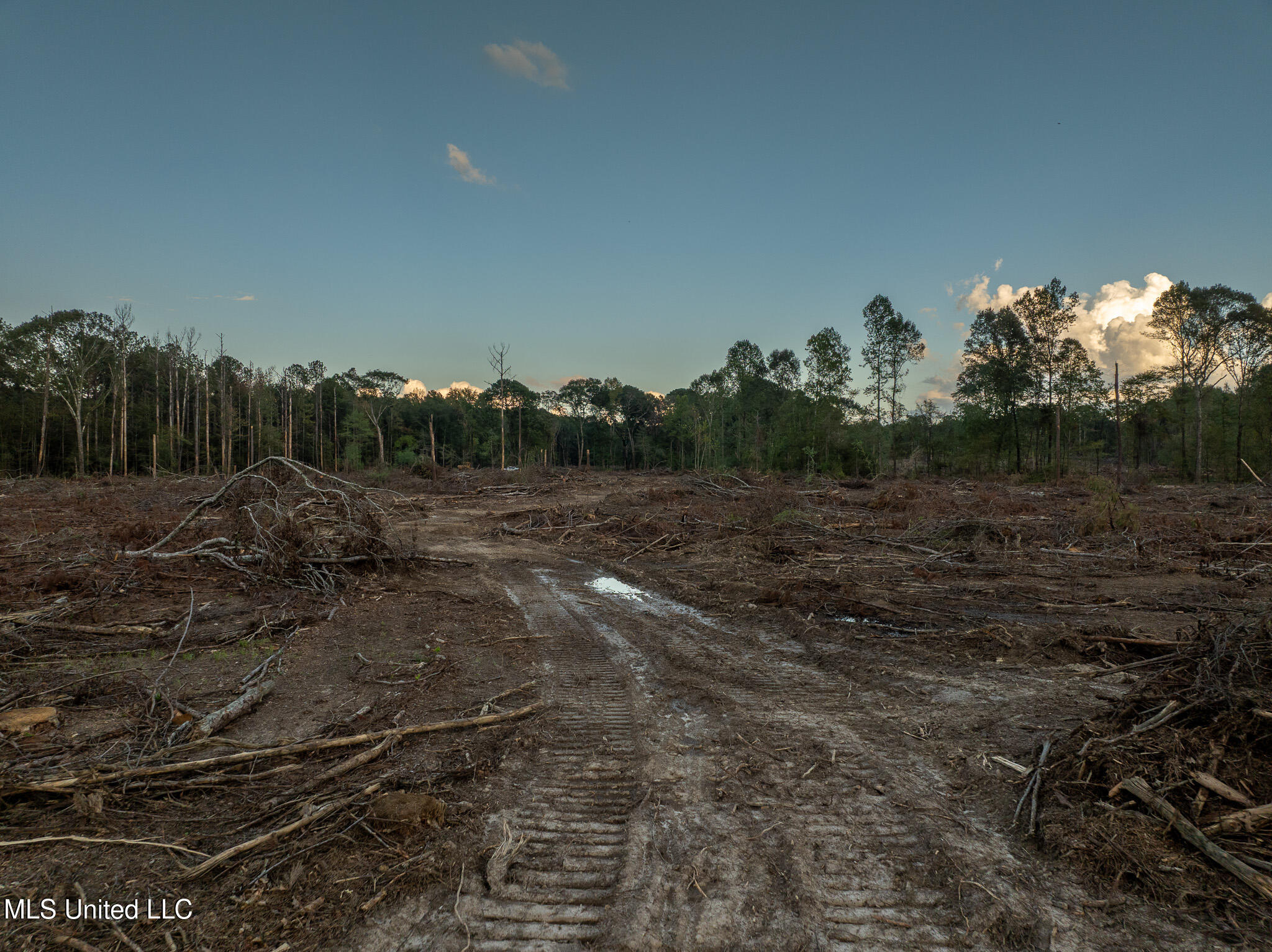 Ashley Road Property Photo 20