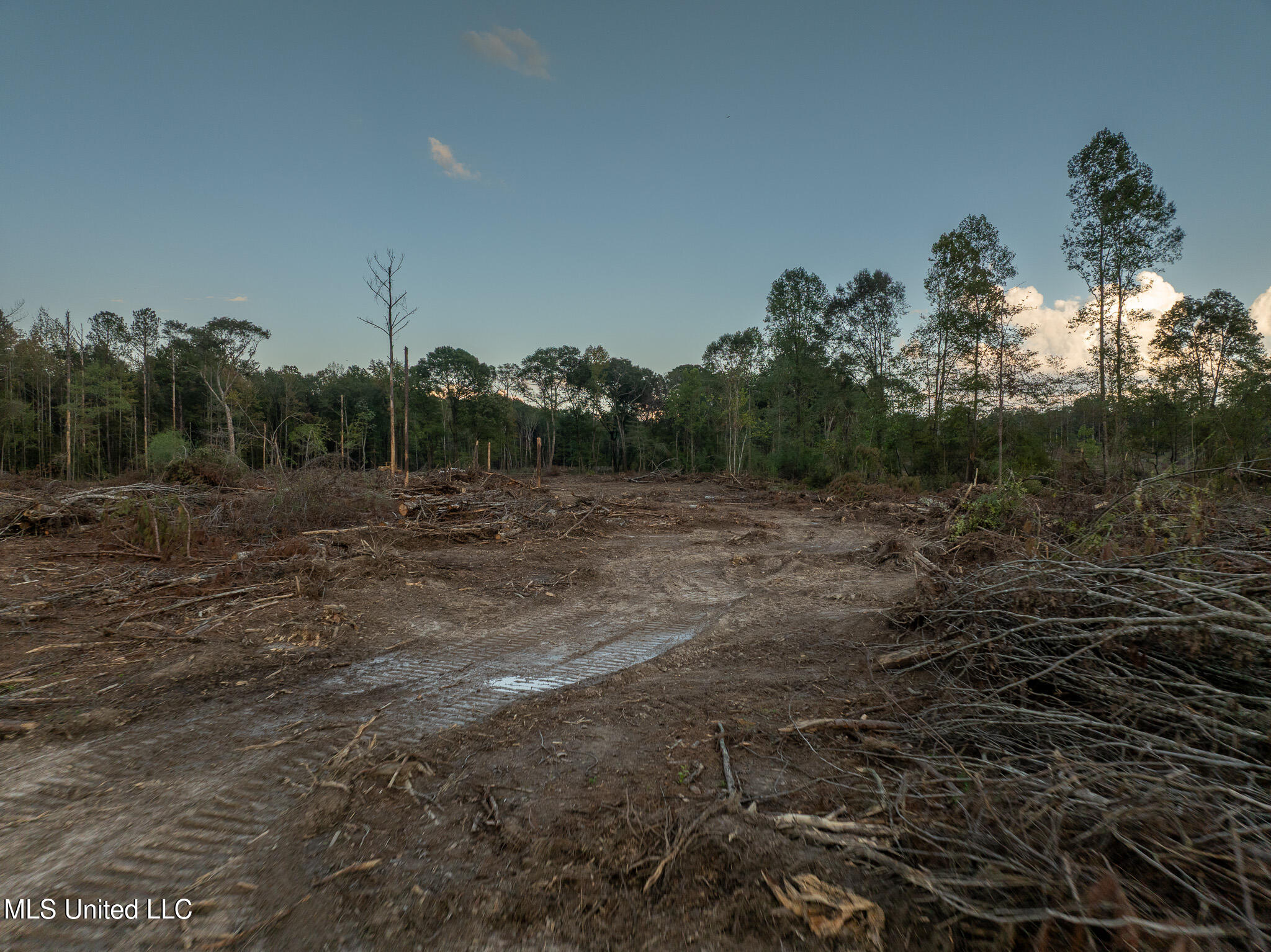 Ashley Road Property Photo 21