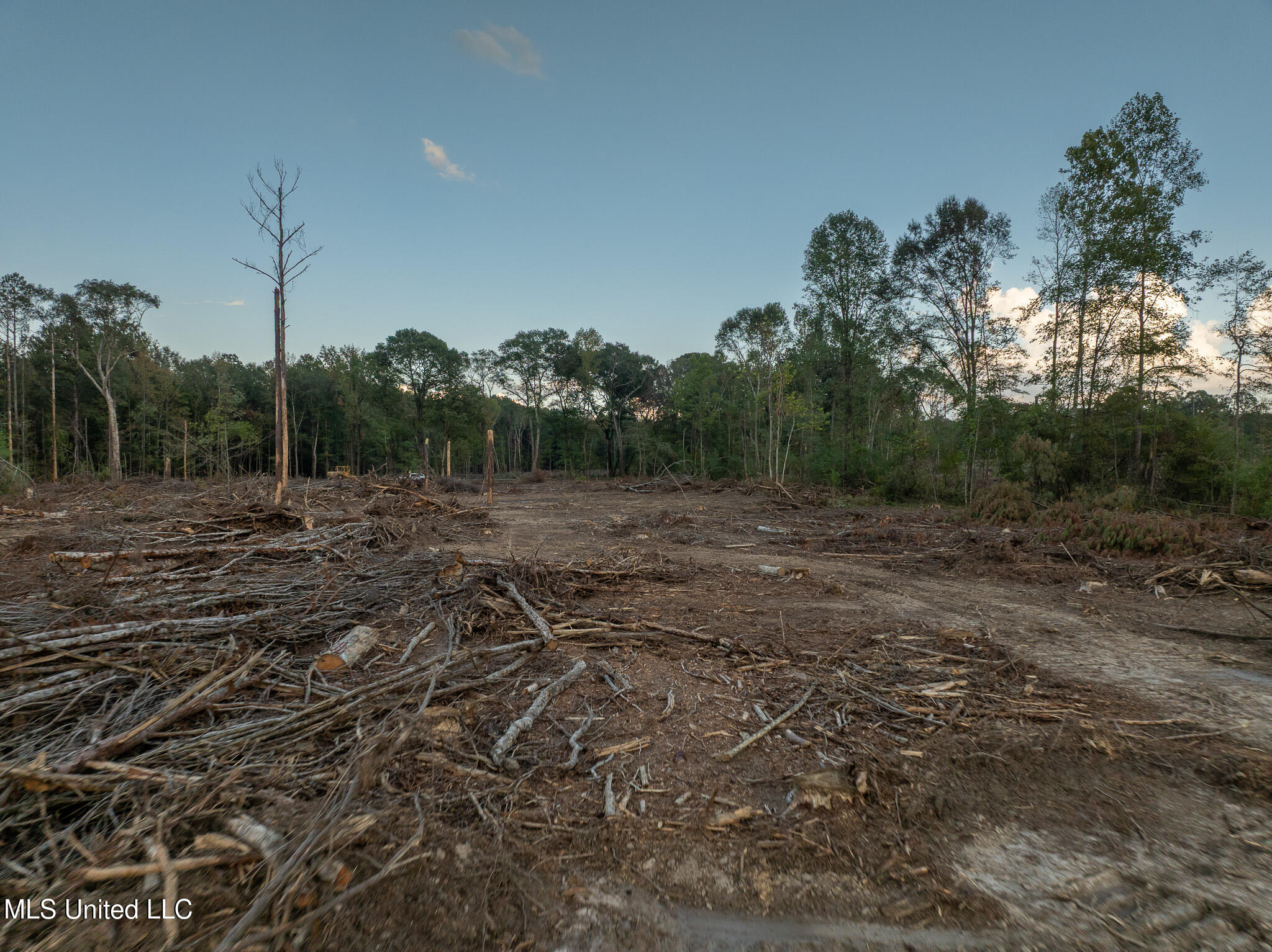 Ashley Road Property Photo 22