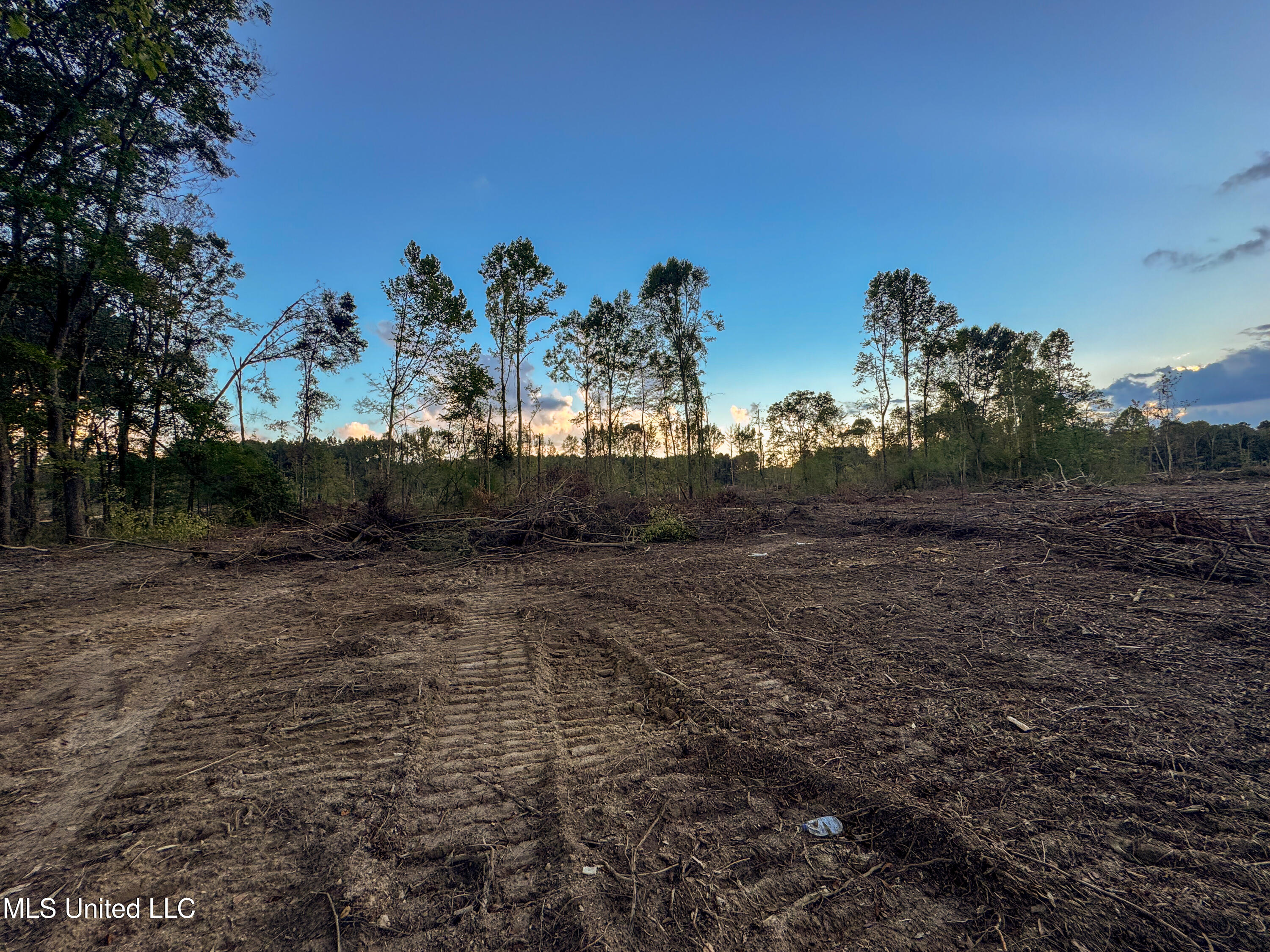 Ashley Road Property Photo 23