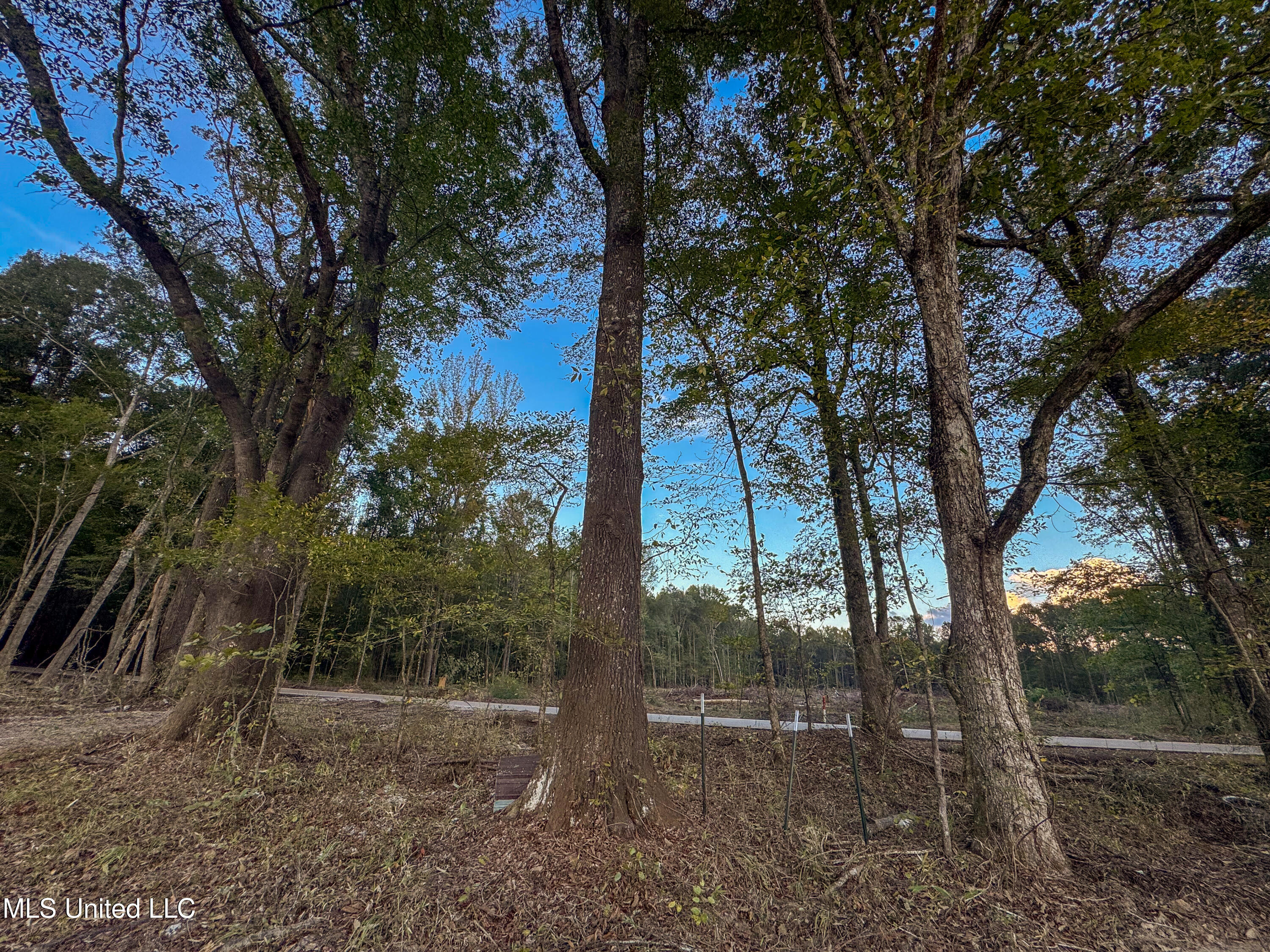 Ashley Road Property Photo 24