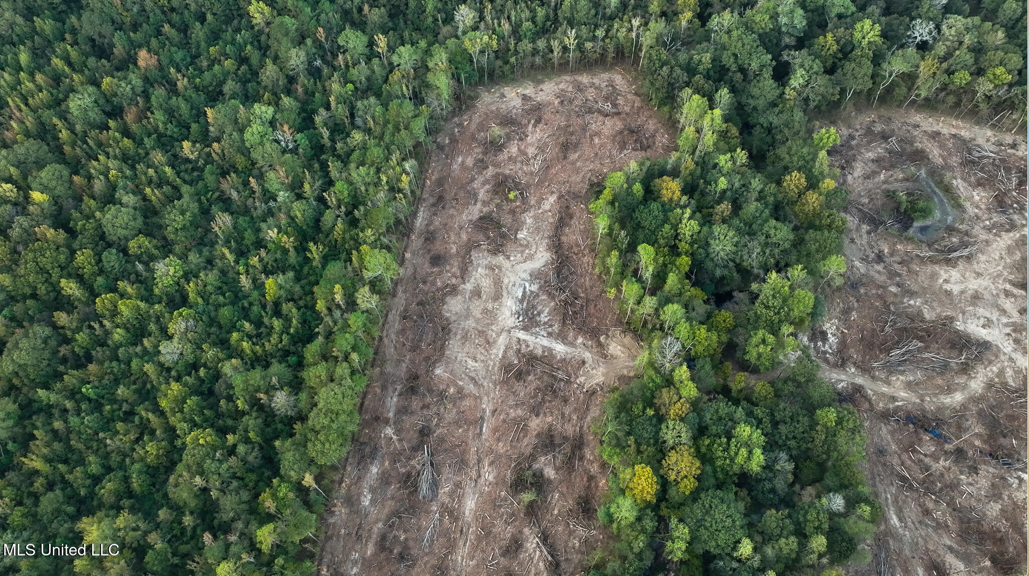 Ashley Road Property Photo 25