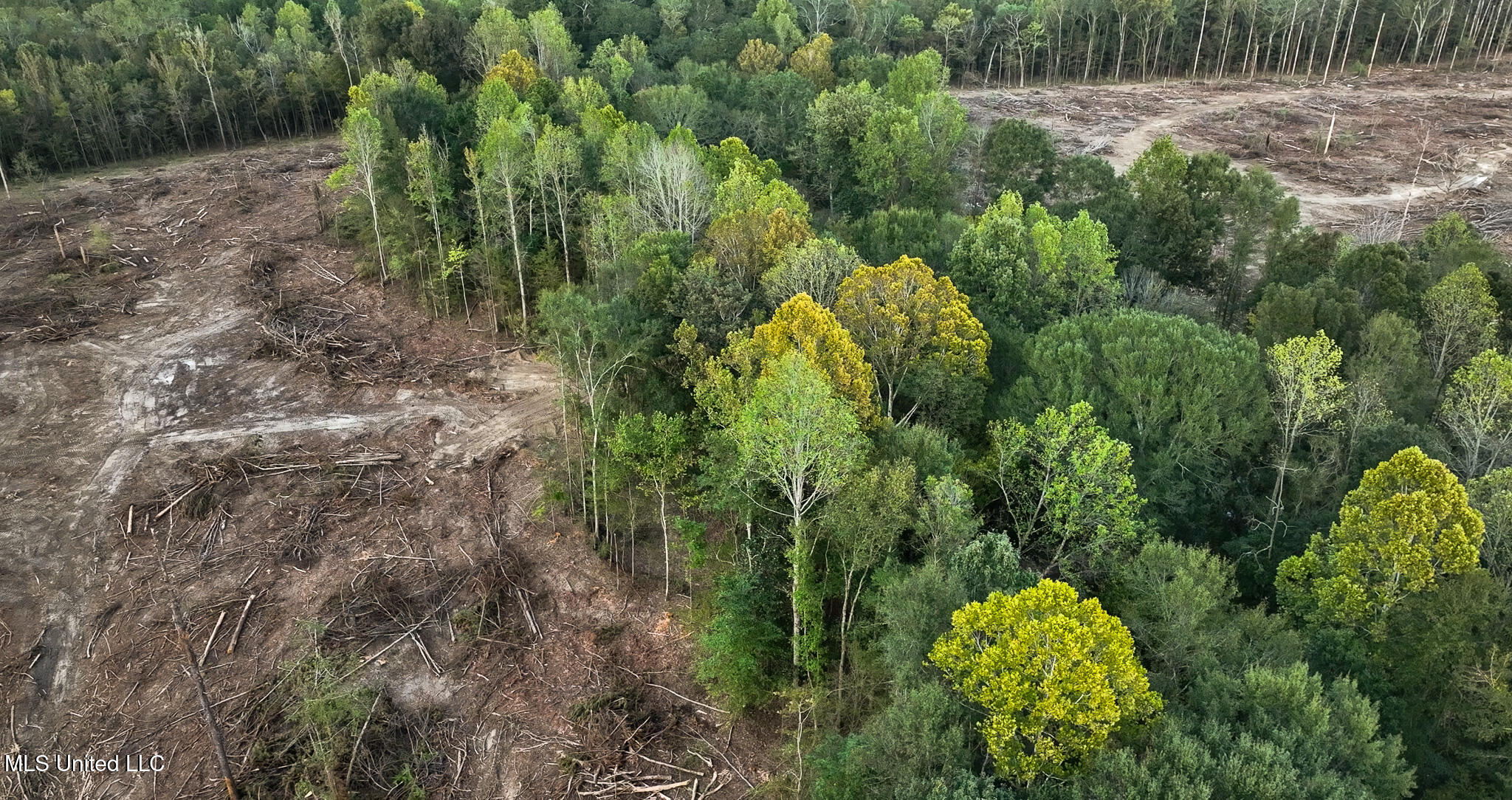 Ashley Road Property Photo 26