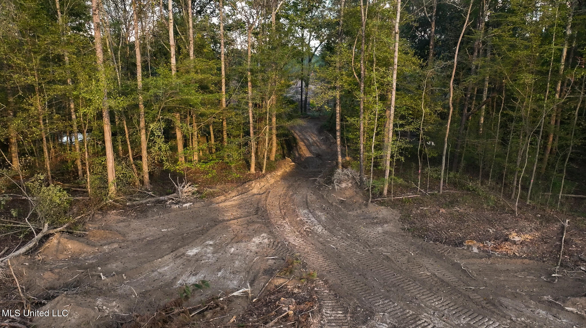 Ashley Road Property Photo 27