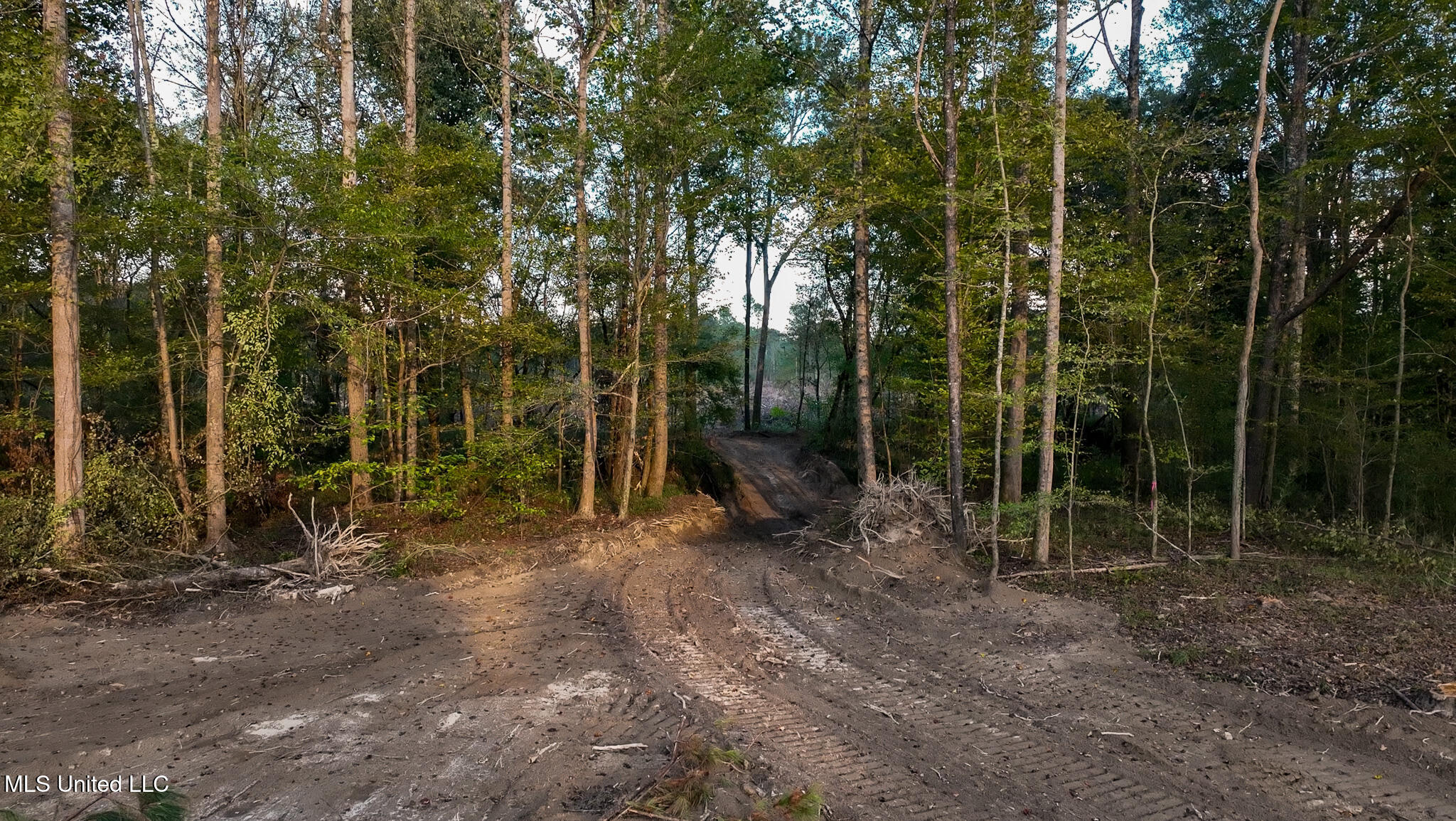 Ashley Road Property Photo 28