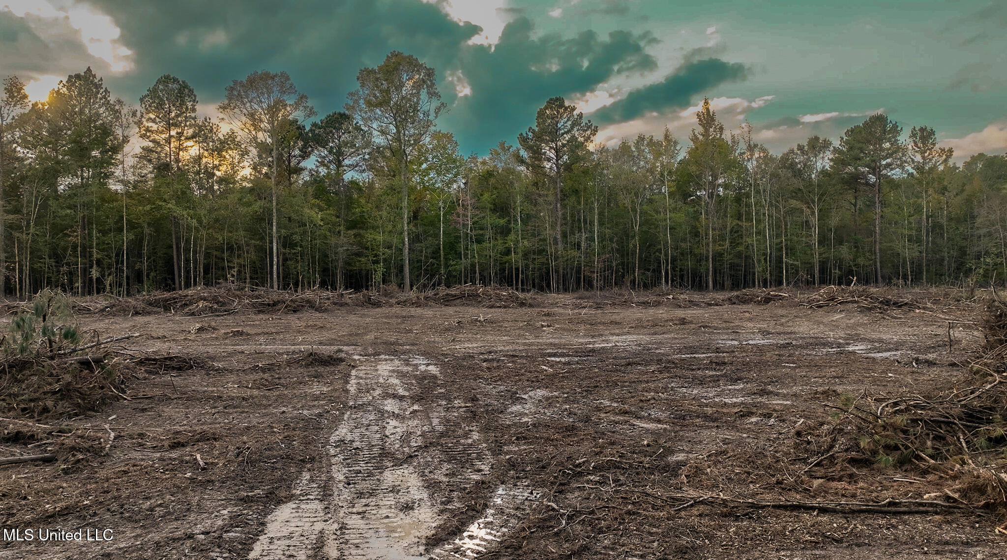 Ashley Road Property Photo 29