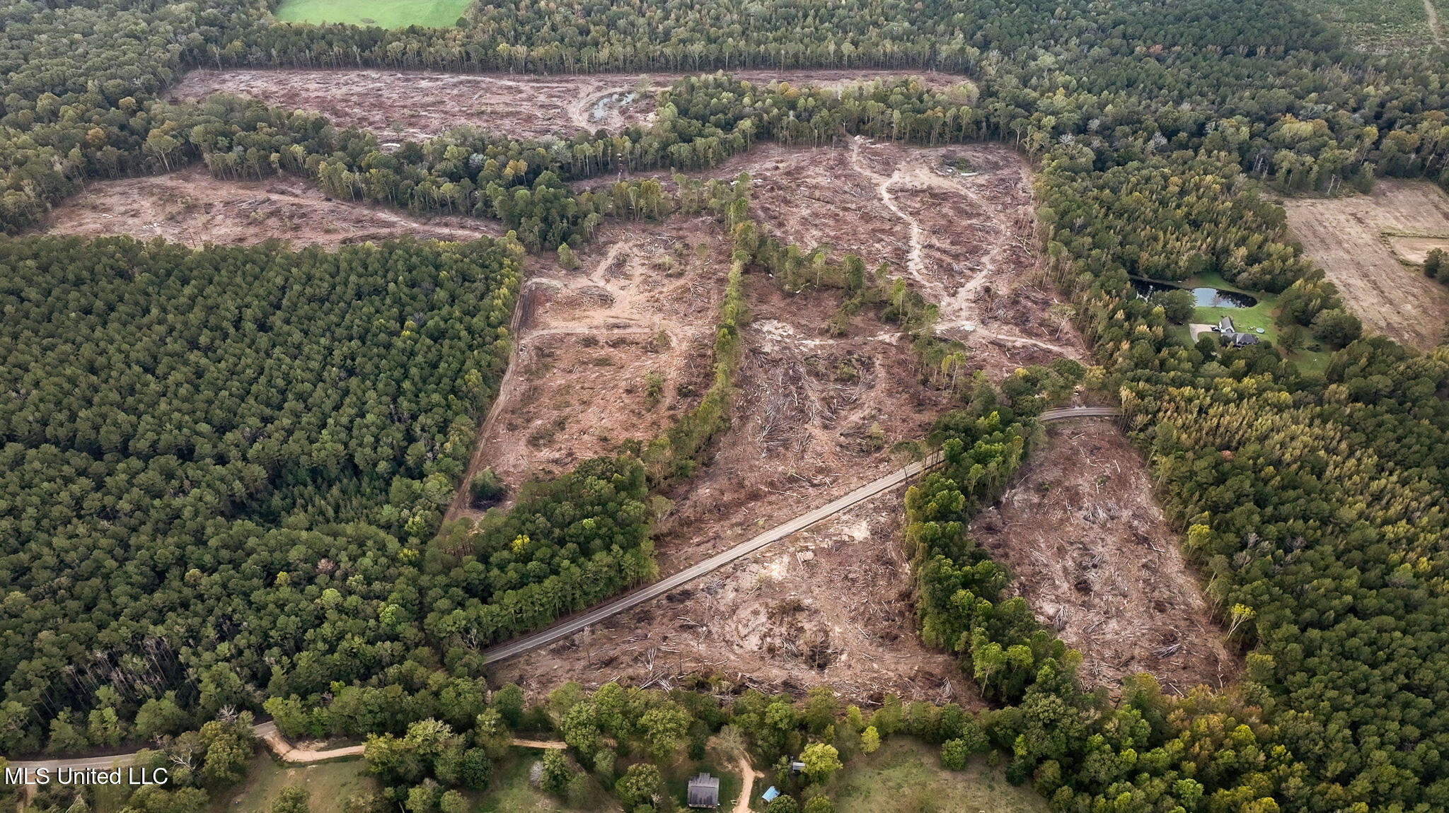 Ashley Road Property Photo 30