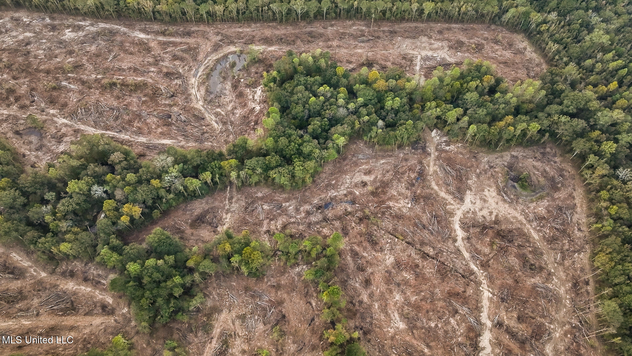 Ashley Road Property Photo 31