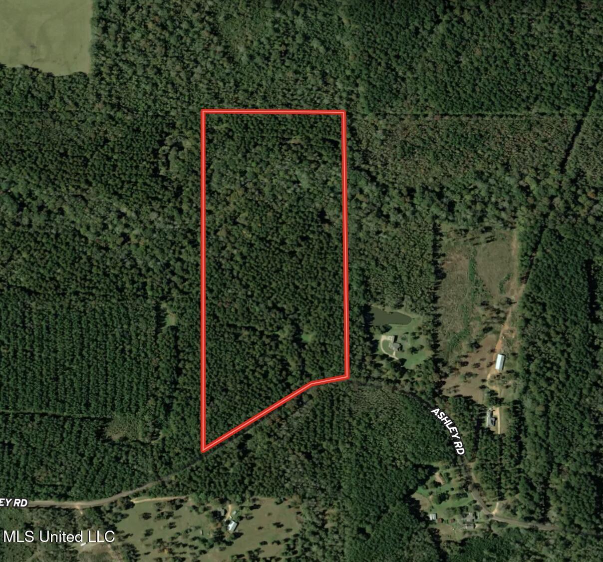 Ashley Road Property Photo 32