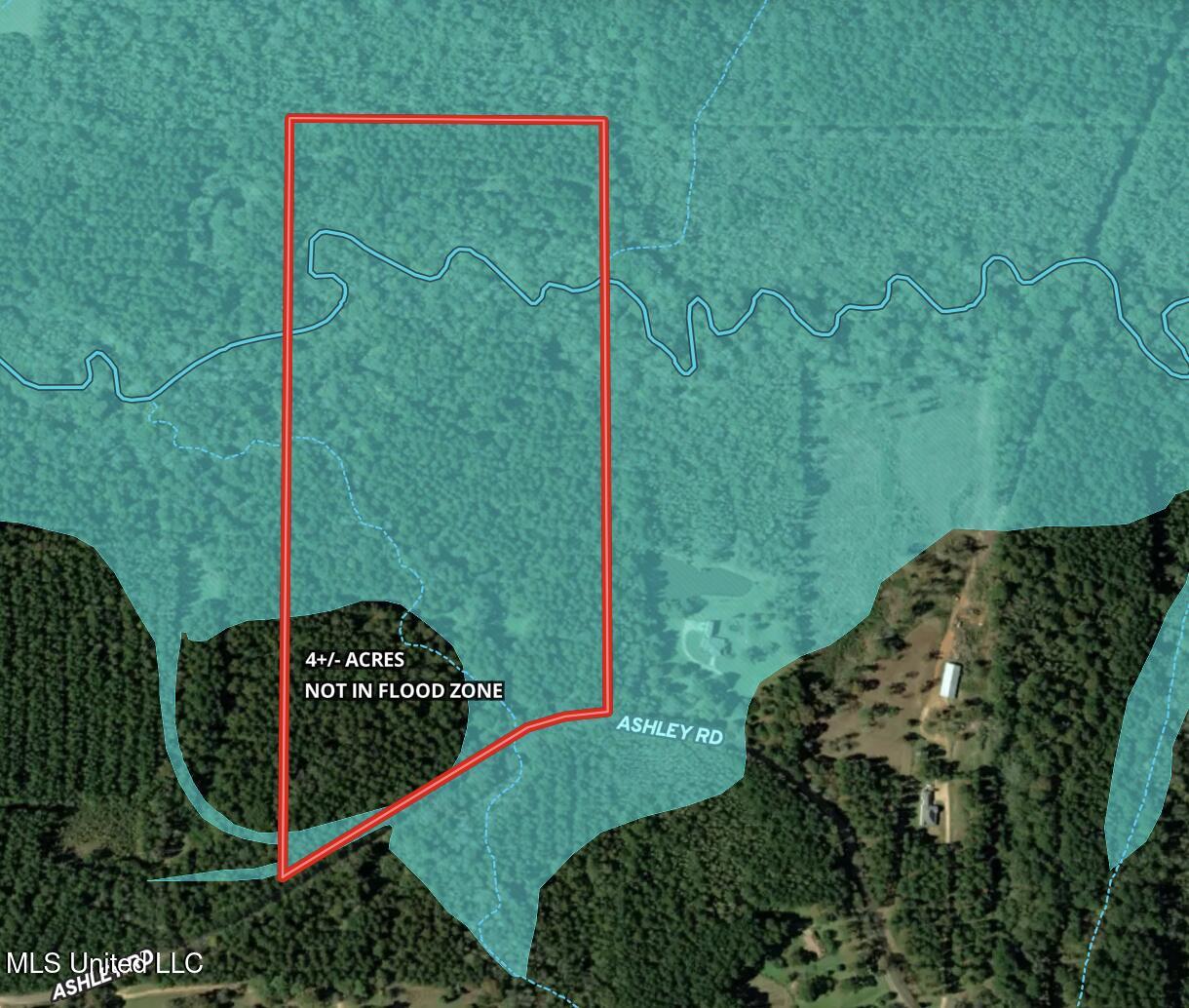 Ashley Road Property Photo 33