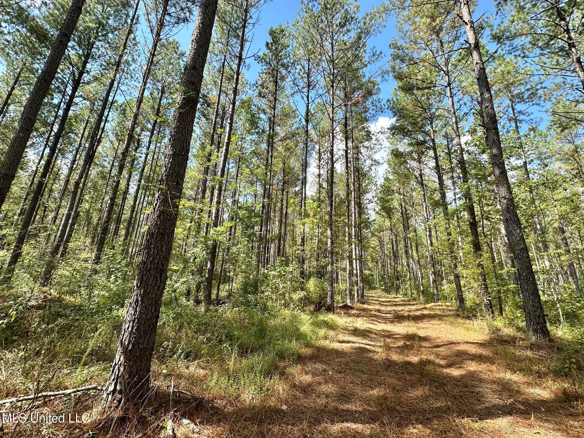 0 Highway 469 Property Photo 1