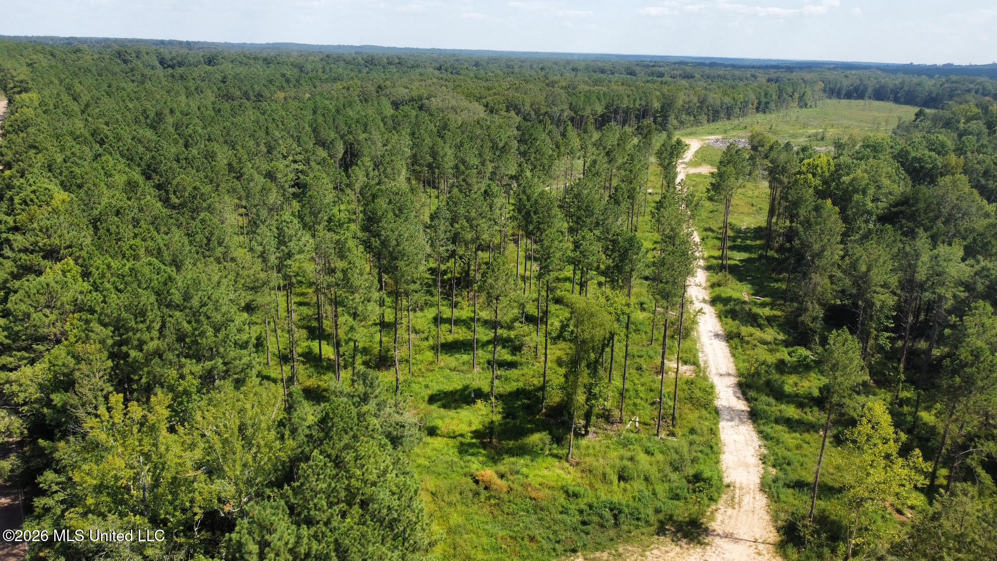 0 Highway 469 Property Photo 1
