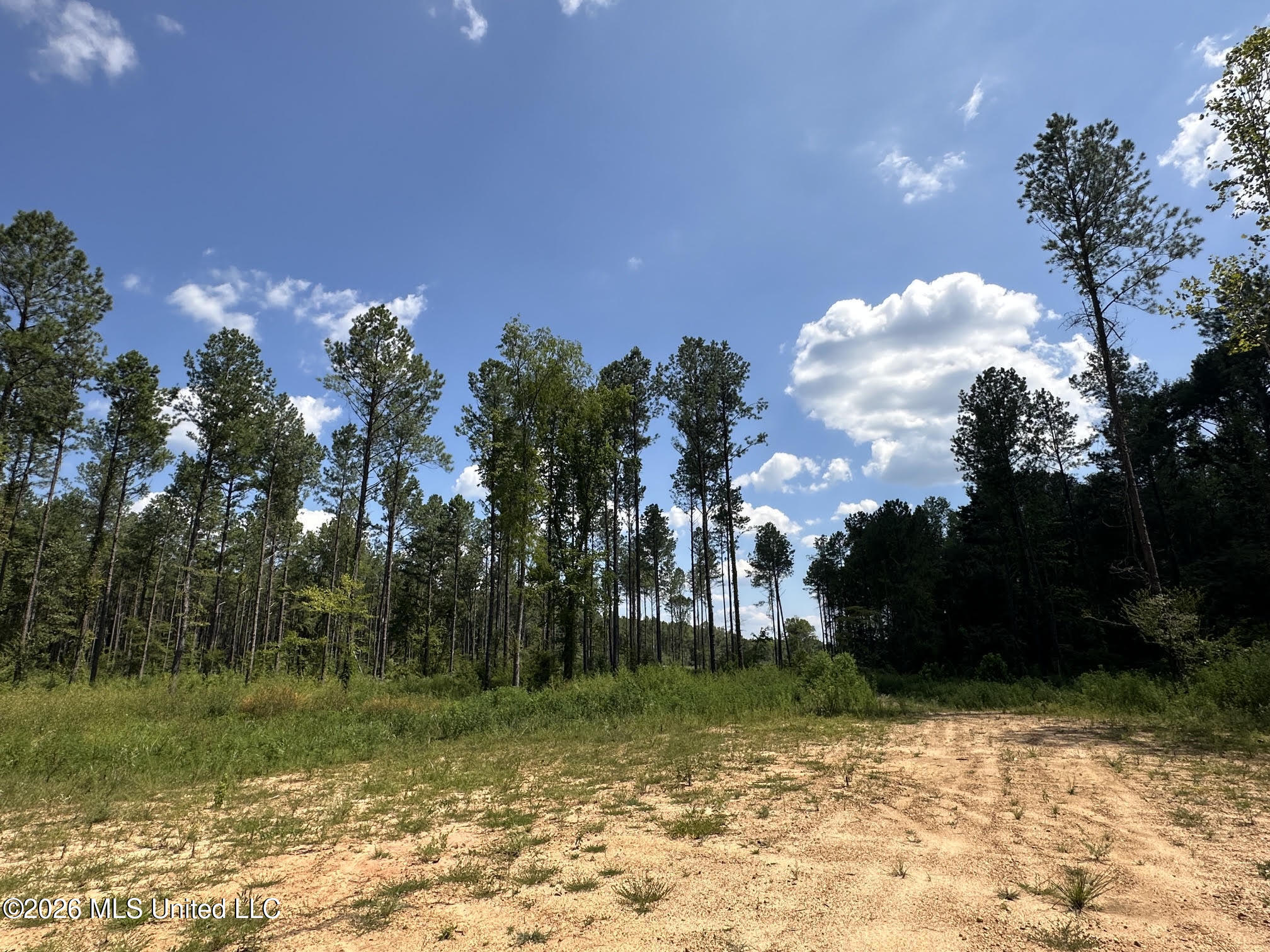0 Highway 469 Property Photo 2