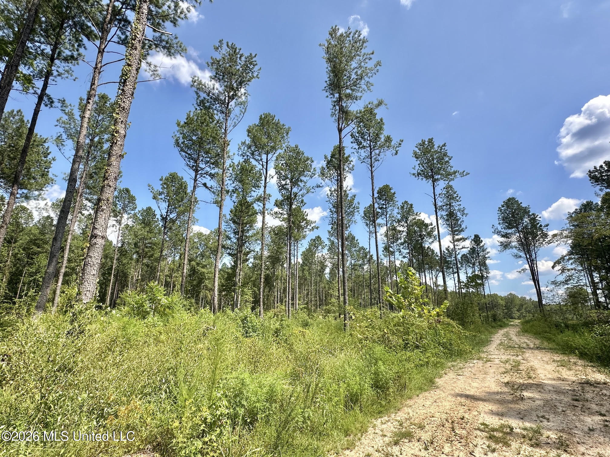 0 Highway 469 Property Photo 3