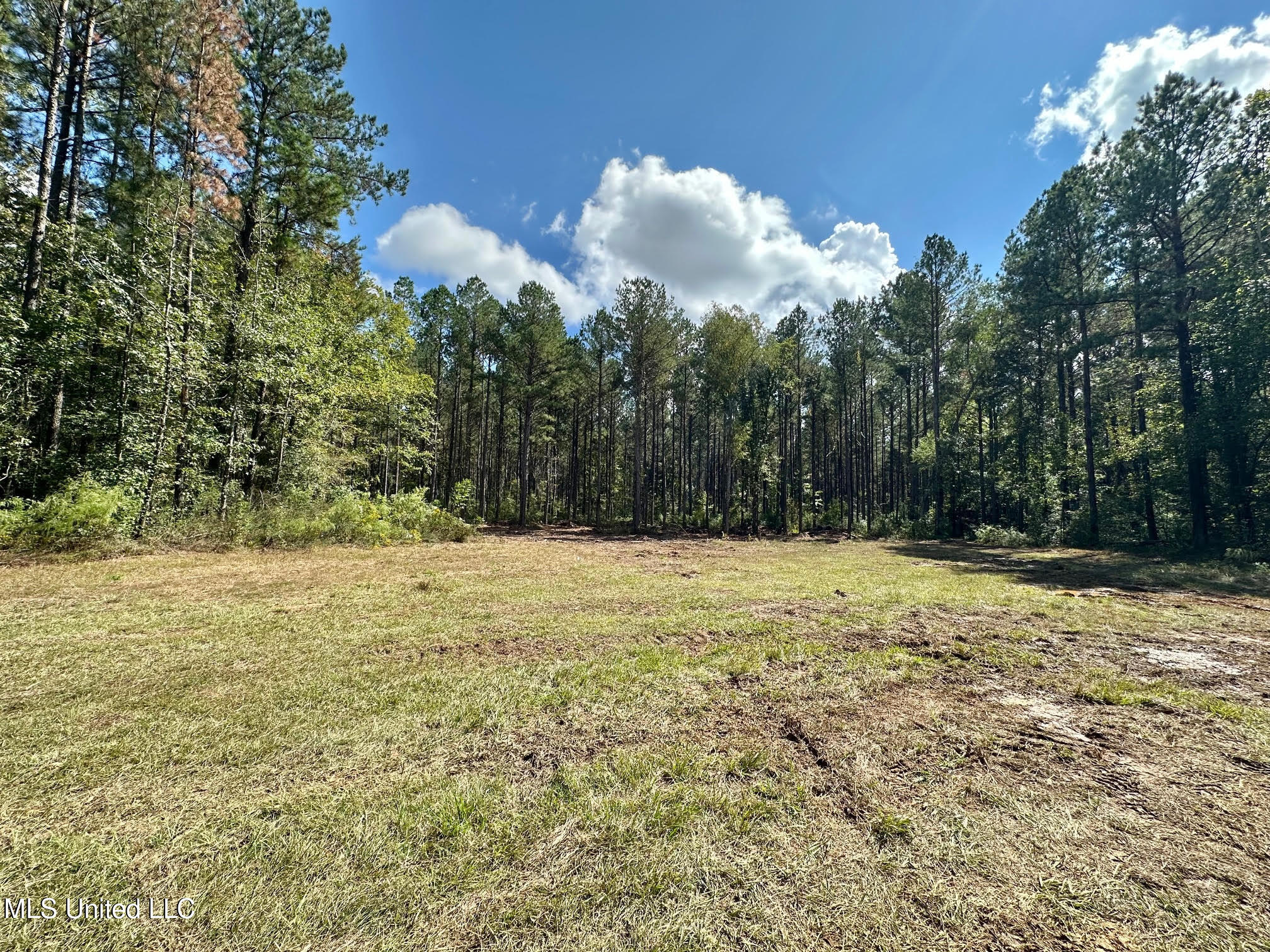 0 Highway 469 Property Photo 4