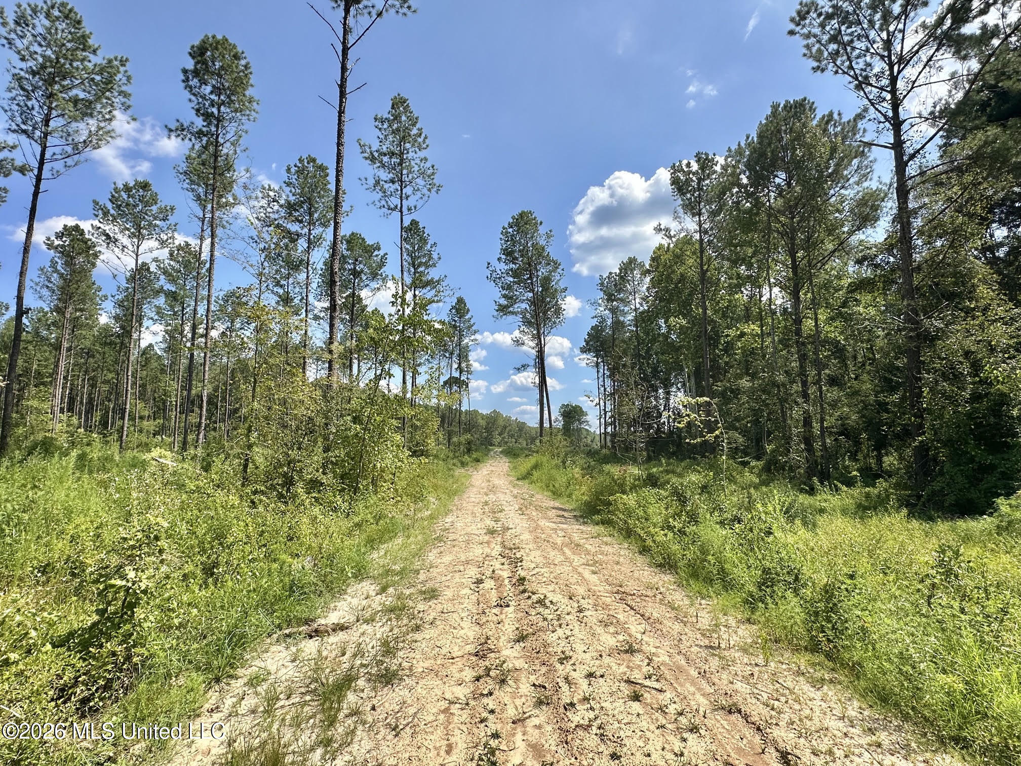 0 Highway 469 Property Photo 4