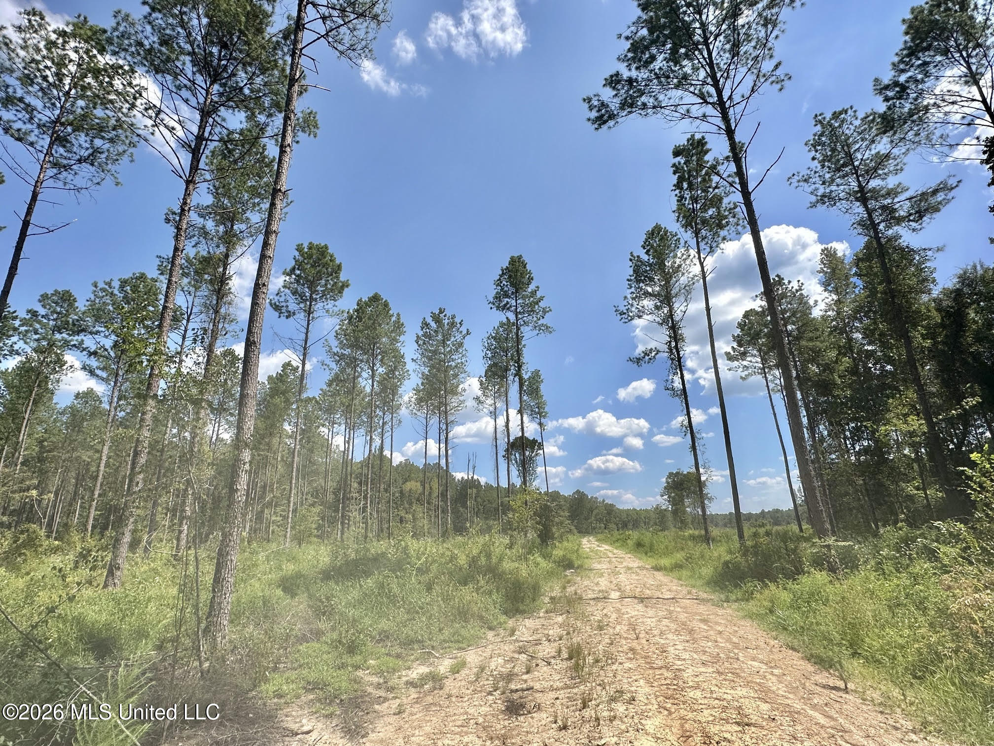 0 Highway 469 Property Photo 6