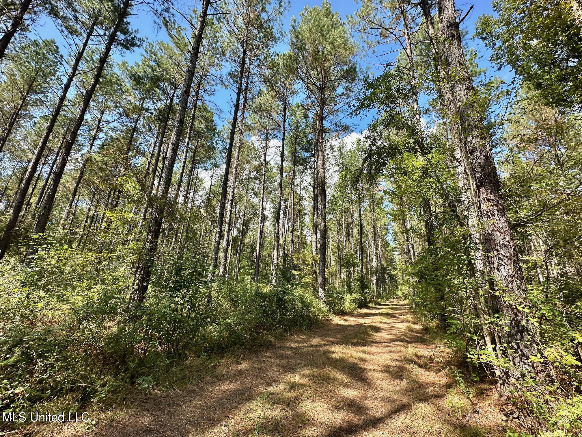 0 Highway 469 Property Photo 7