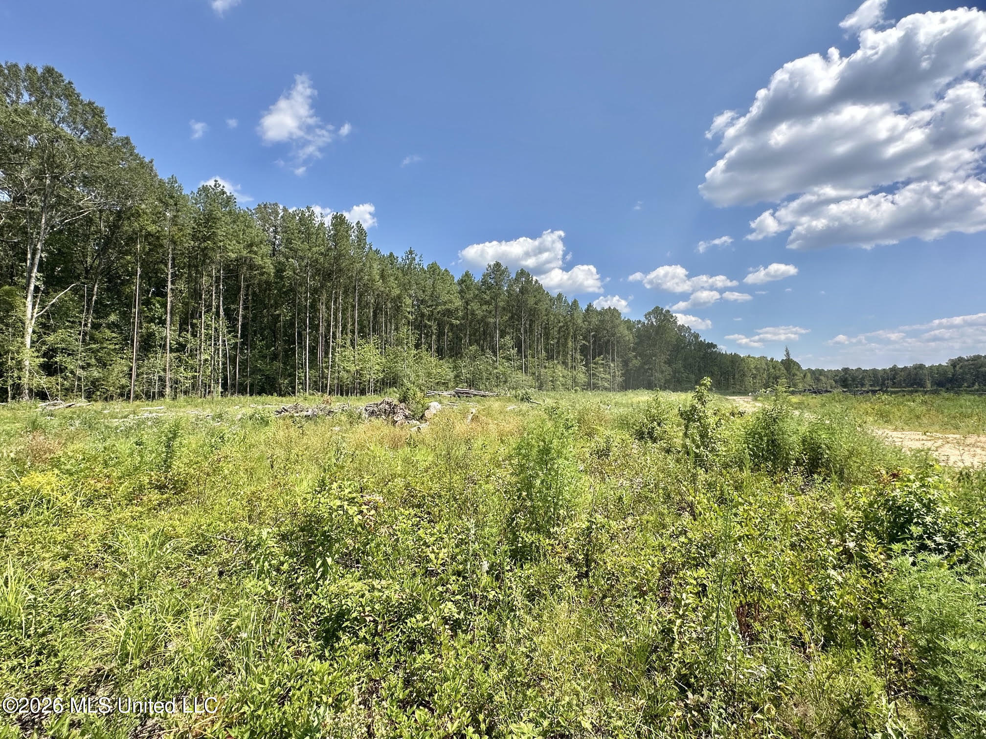 0 Highway 469 Property Photo 8