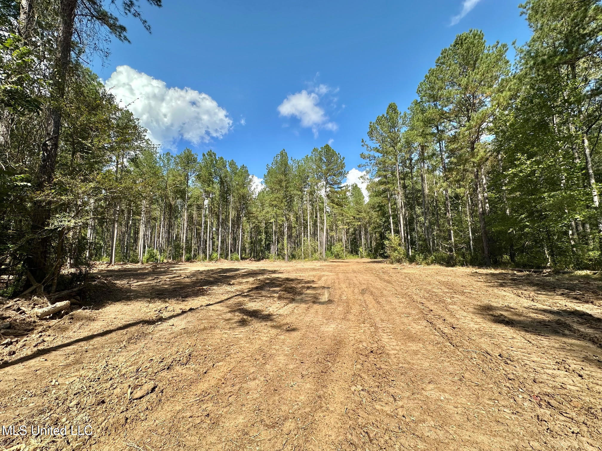 0 Highway 469 Property Photo 9