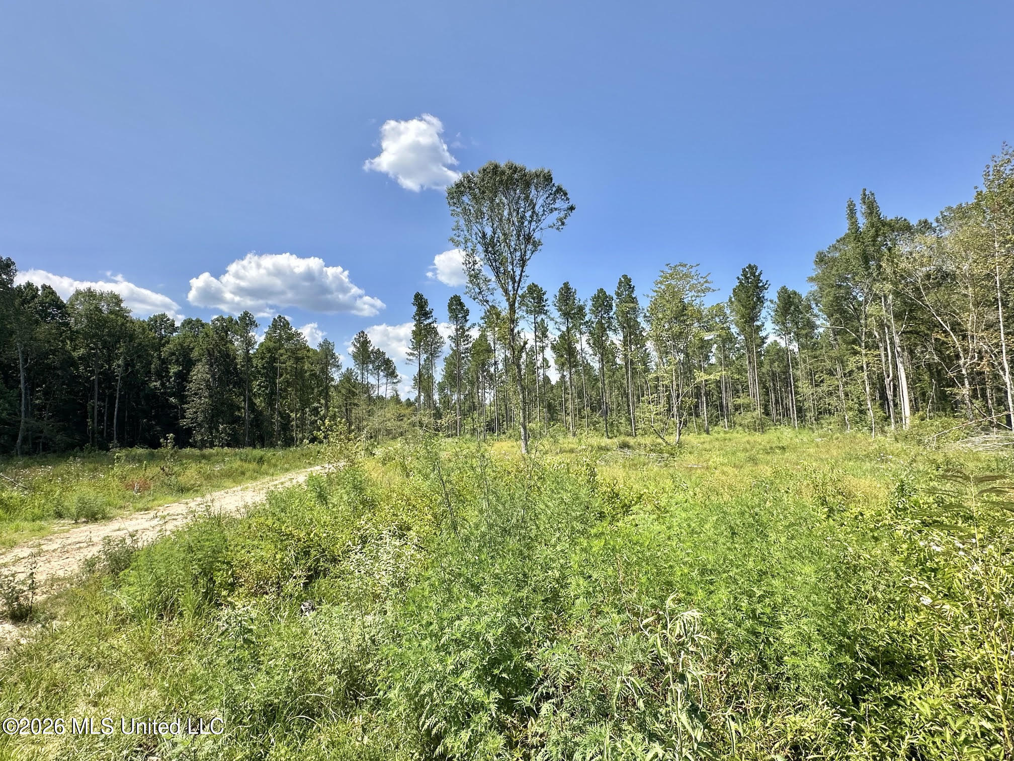 0 Highway 469 Property Photo 9