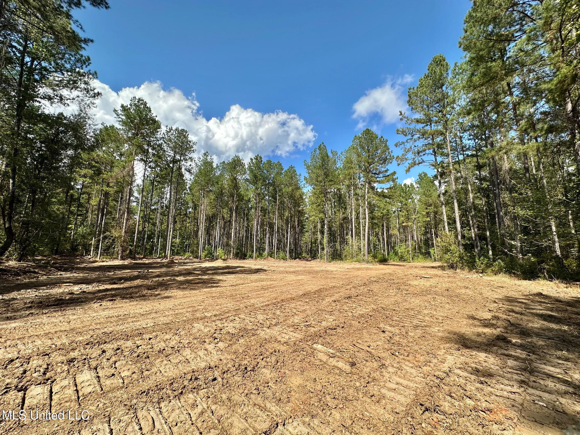 0 Highway 469 Property Photo 10