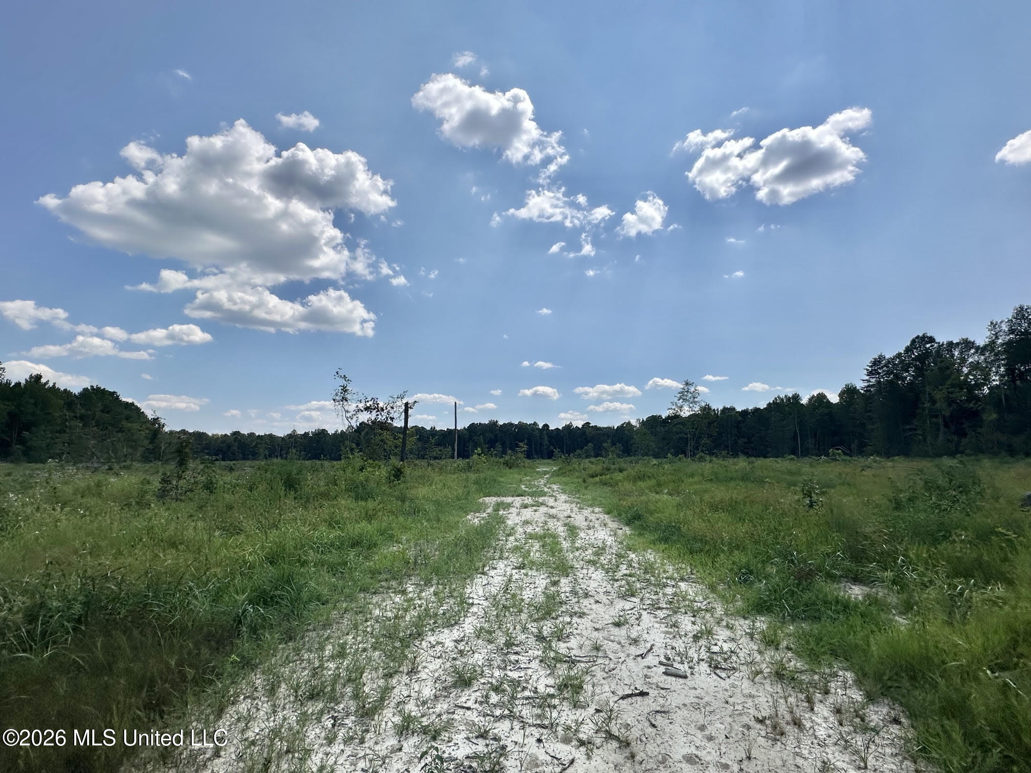 0 Highway 469 Property Photo 10