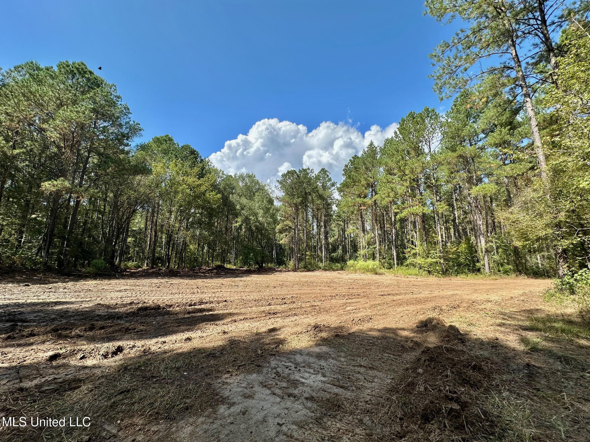 0 Highway 469 Property Photo 11