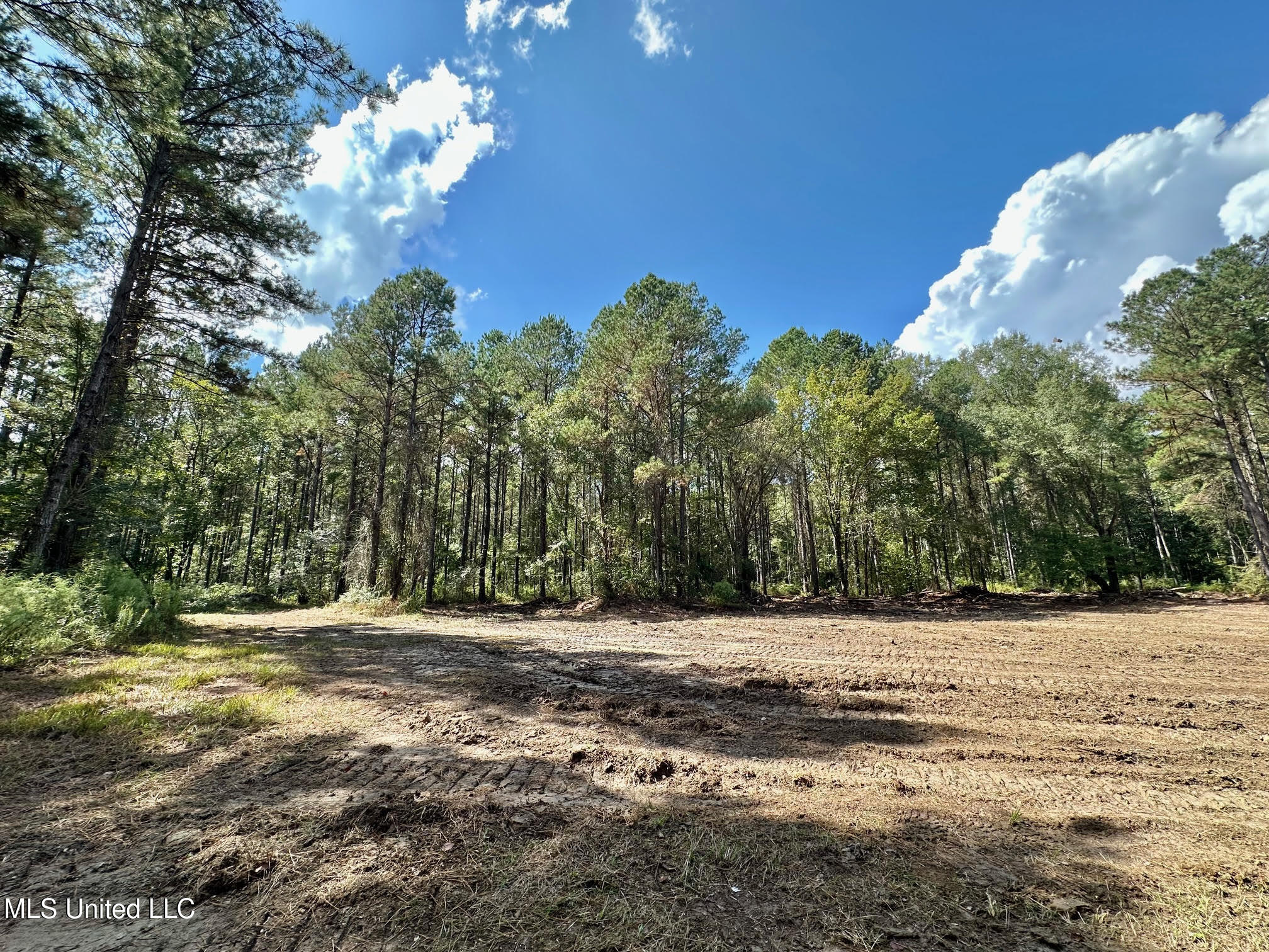 0 Highway 469 Property Photo 12