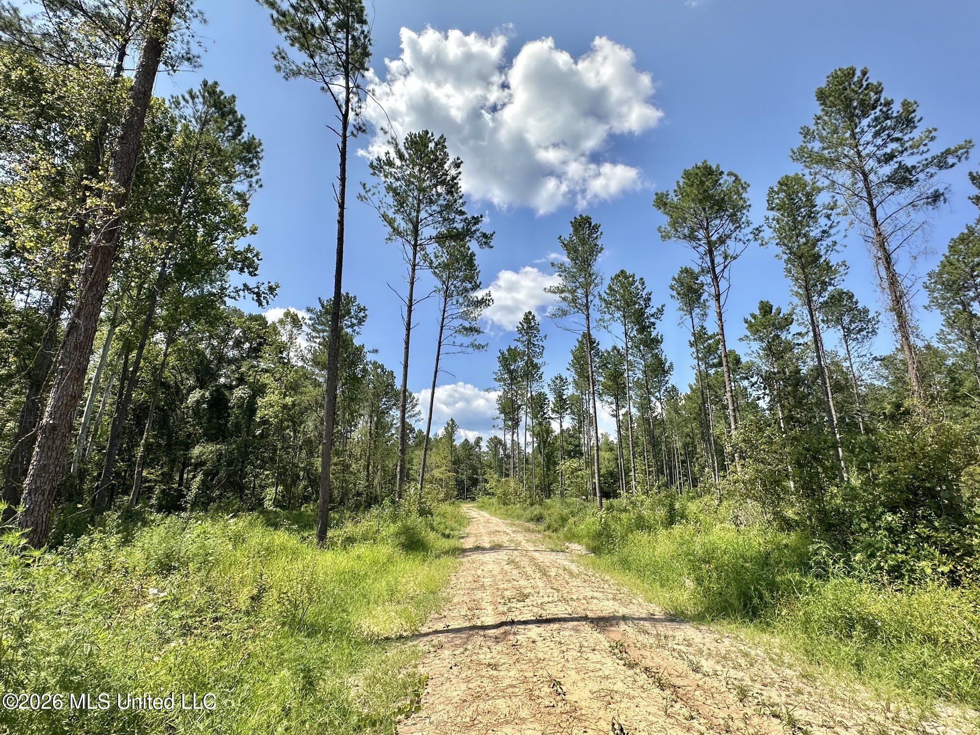 0 Highway 469 Property Photo 12