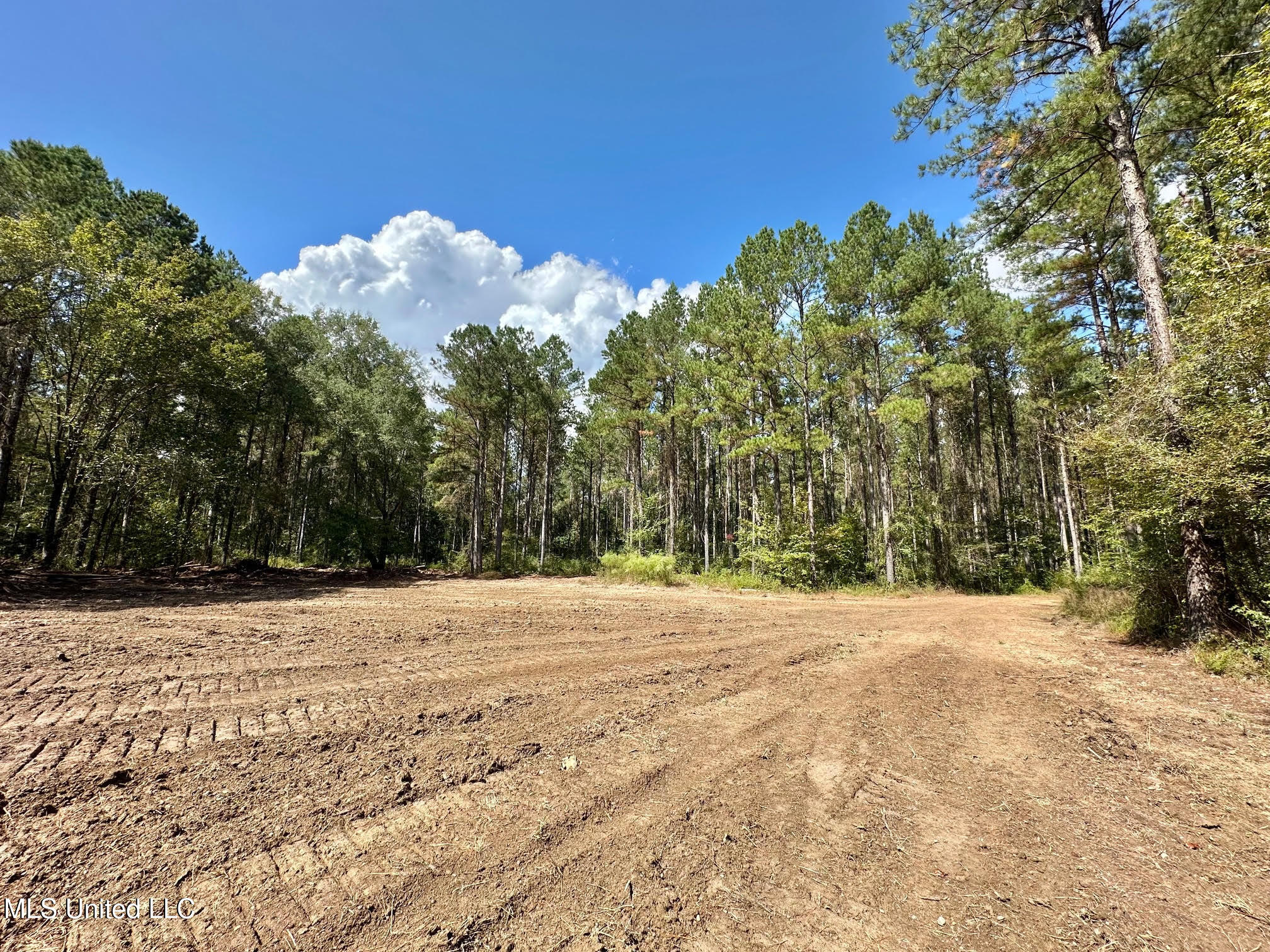 0 Highway 469 Property Photo 13