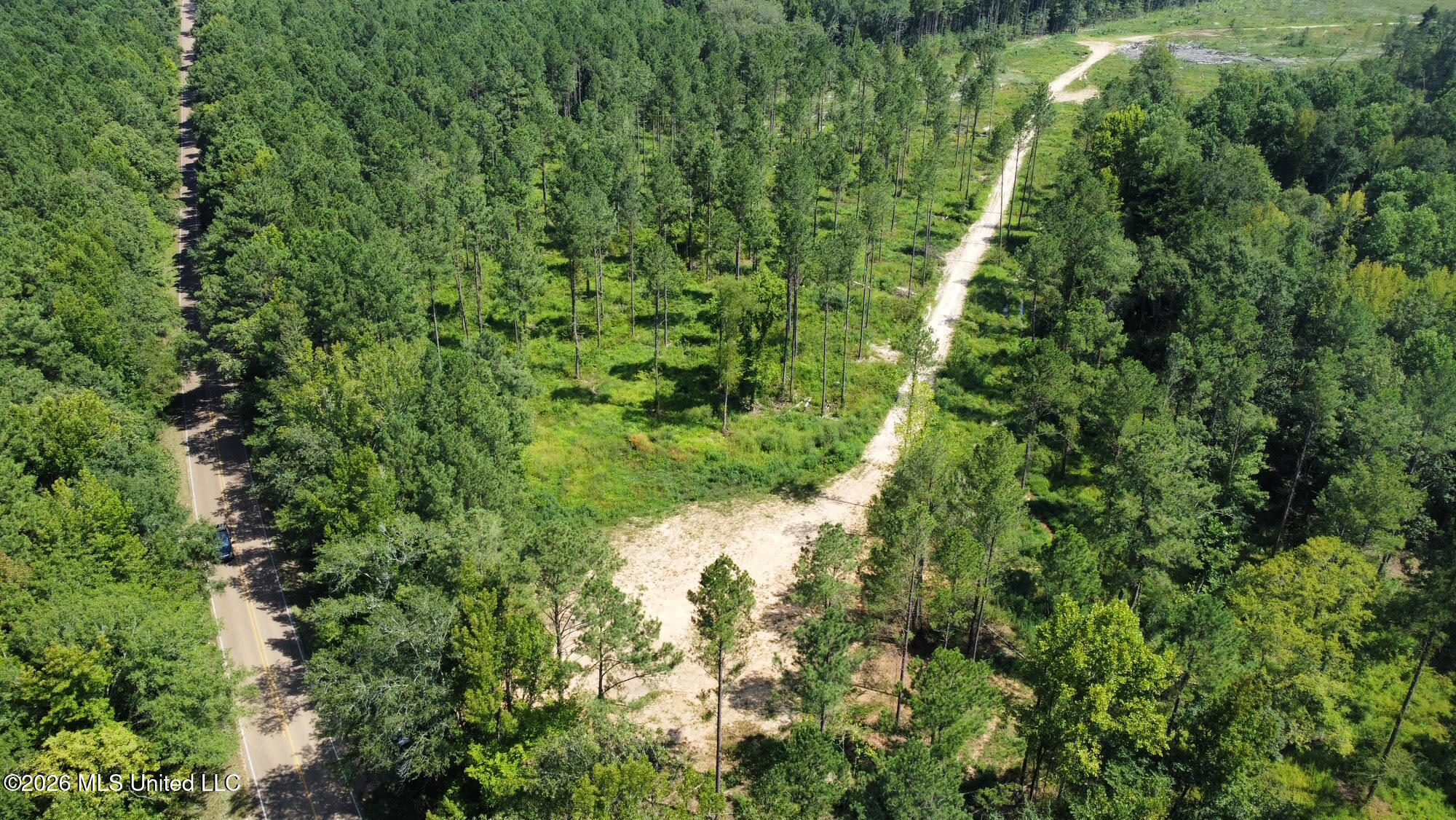 0 Highway 469 Property Photo 14