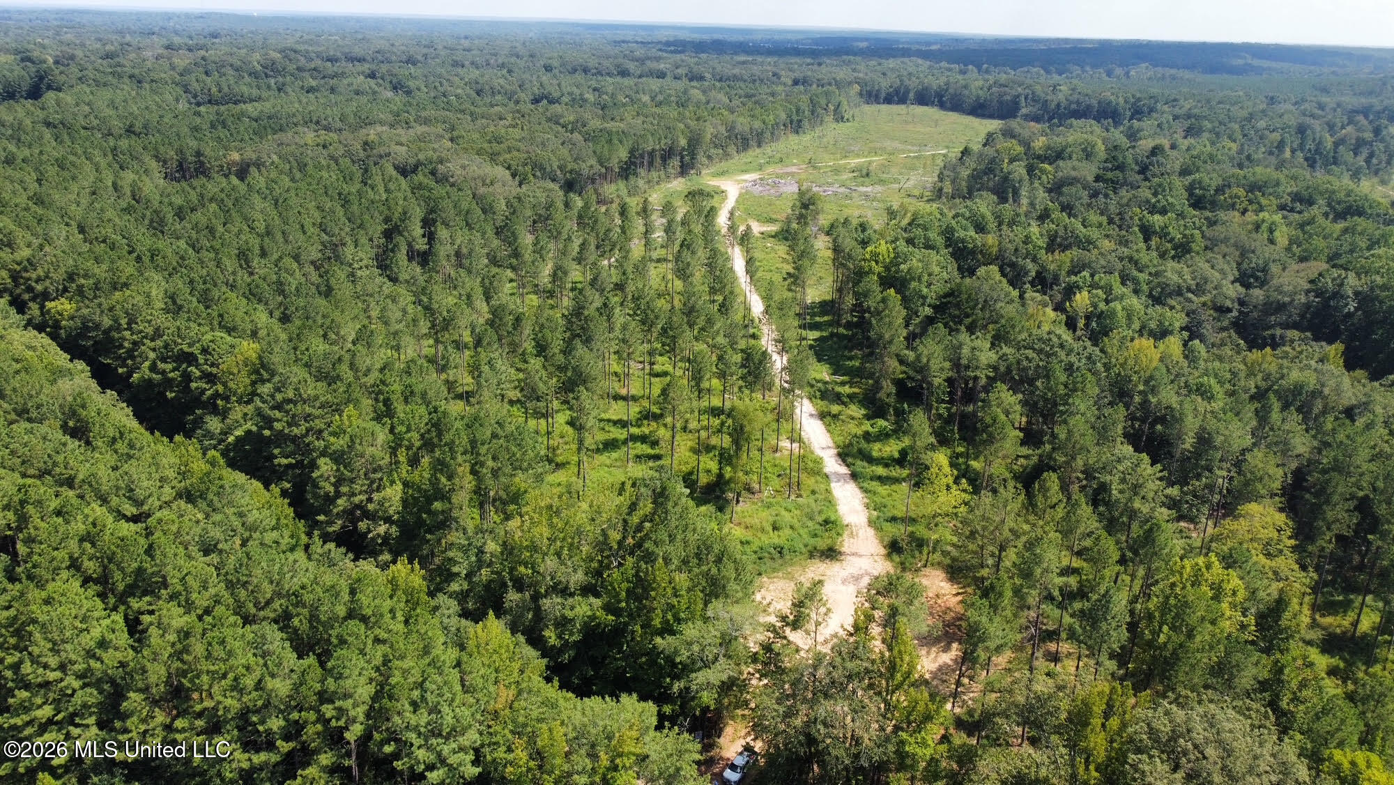 0 Highway 469 Property Photo 15
