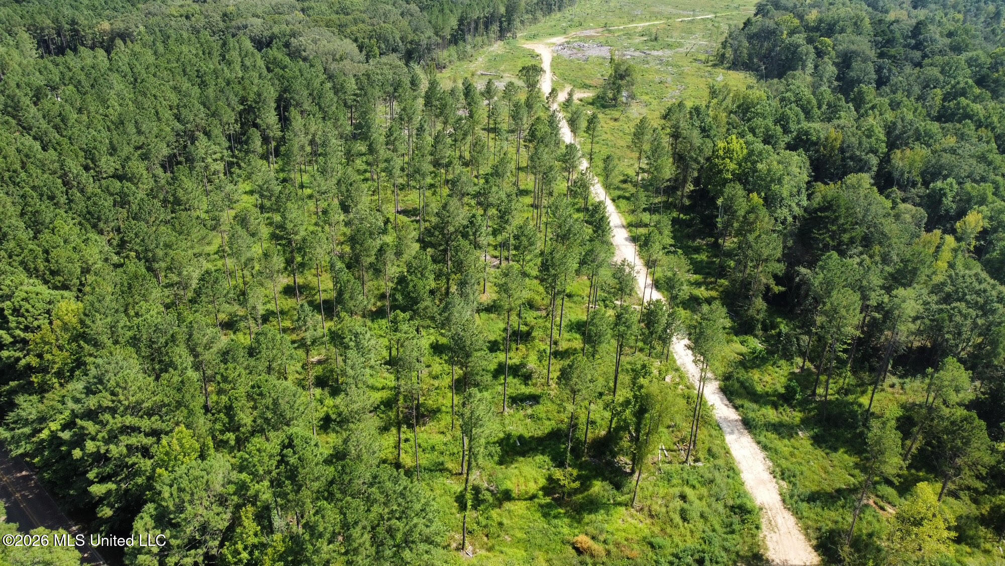 0 Highway 469 Property Photo 16