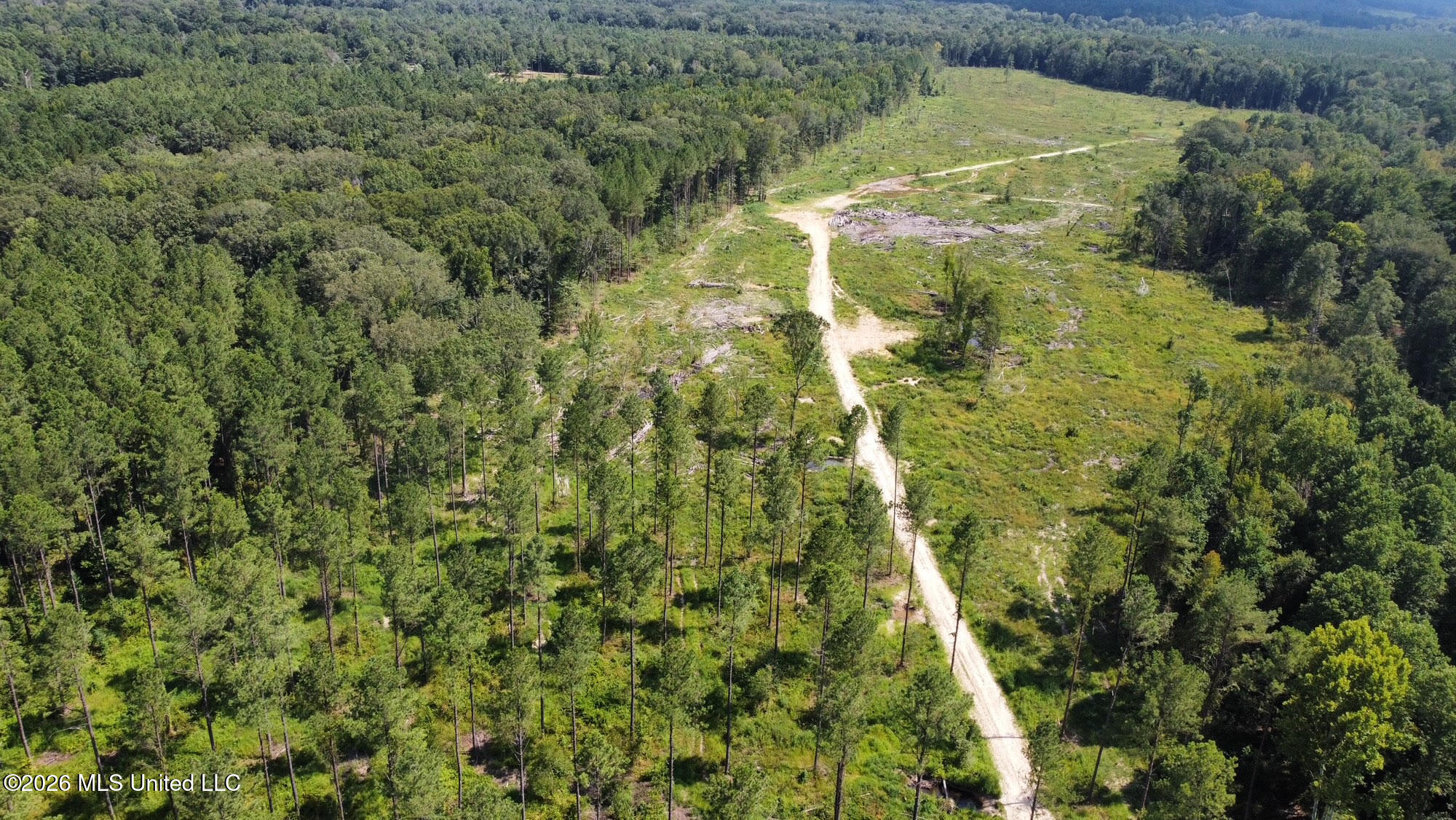 0 Highway 469 Property Photo 17